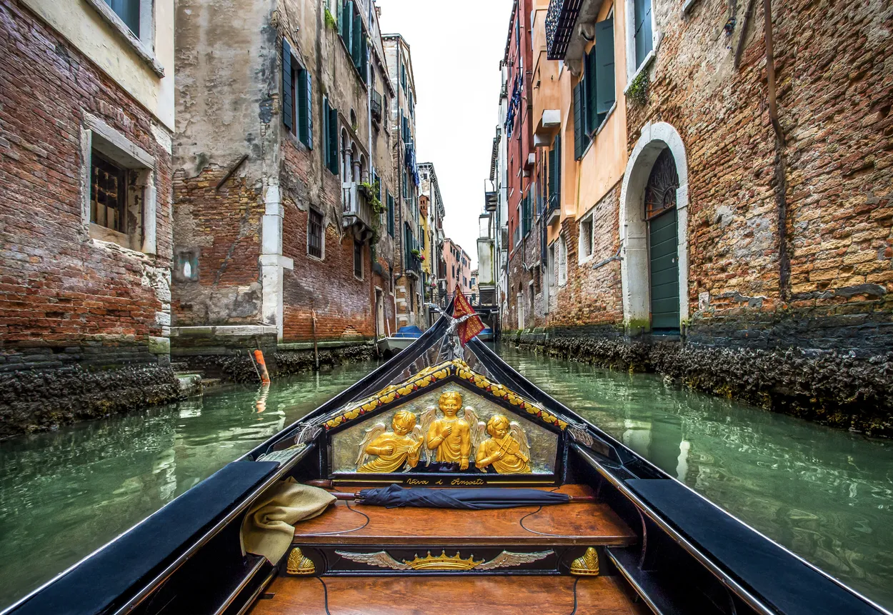 Entry 14382605