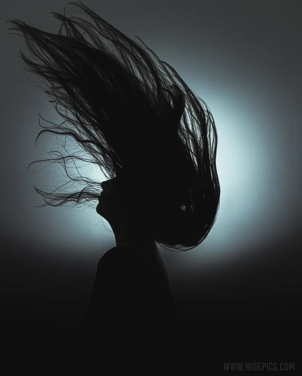 Entry 9807333