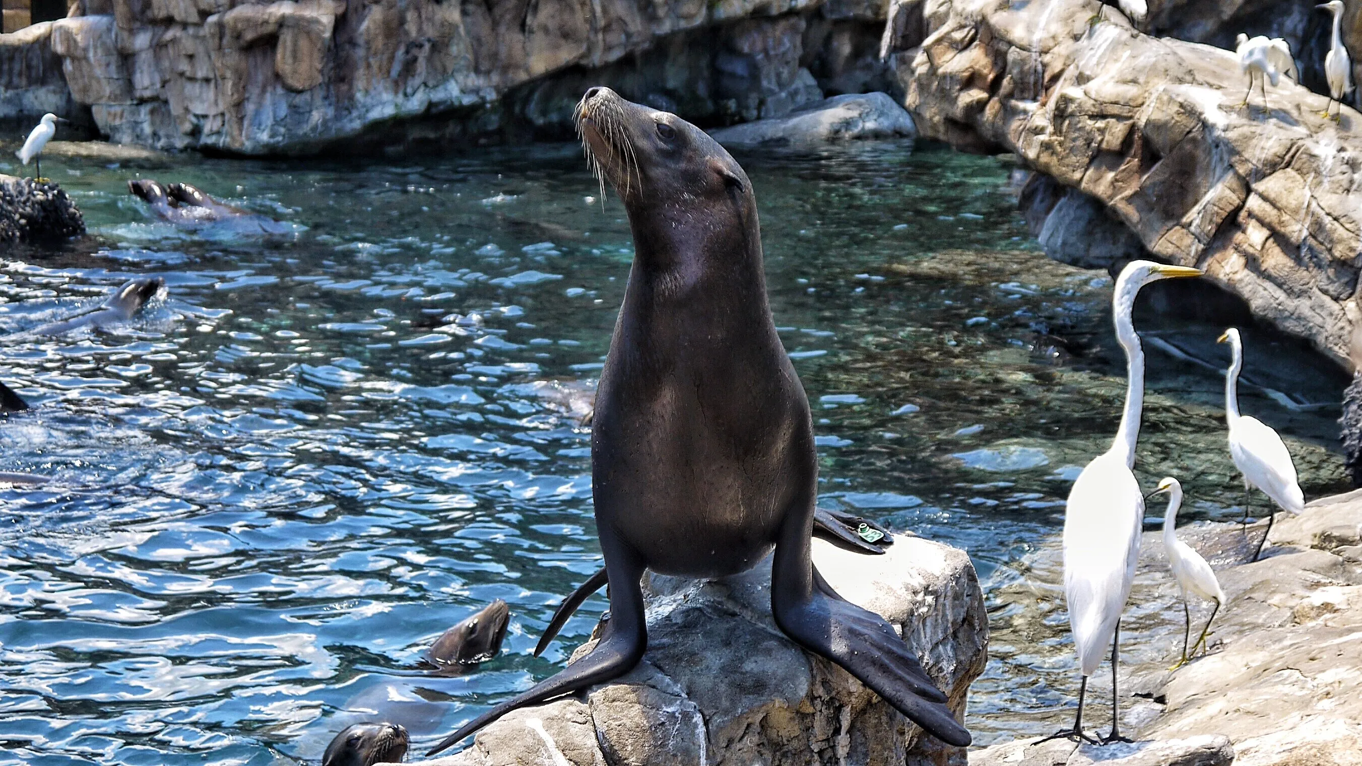 Posing for the camera