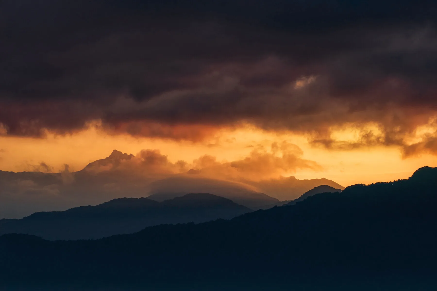 Glowing Dawn