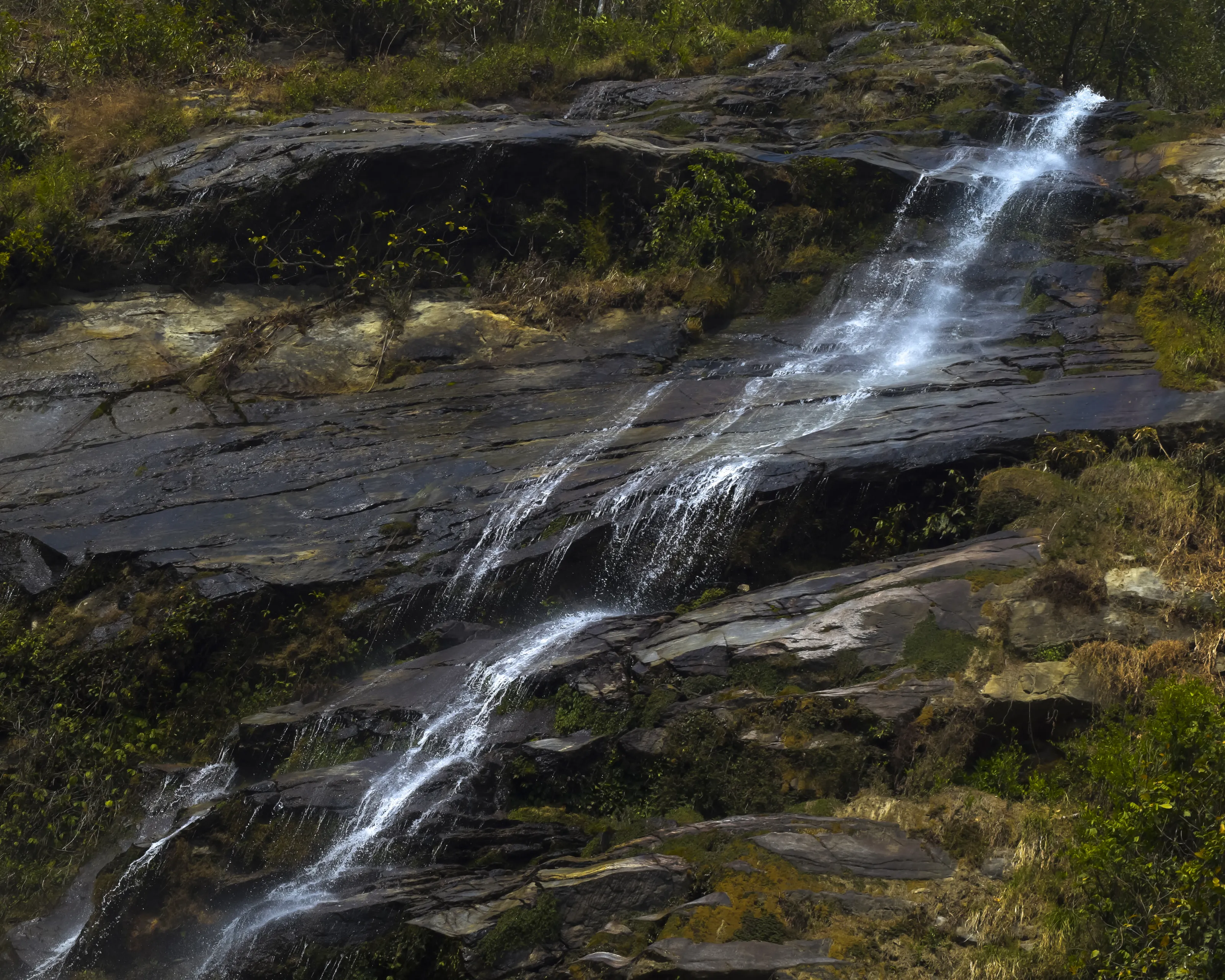 FLOW OF LIFE