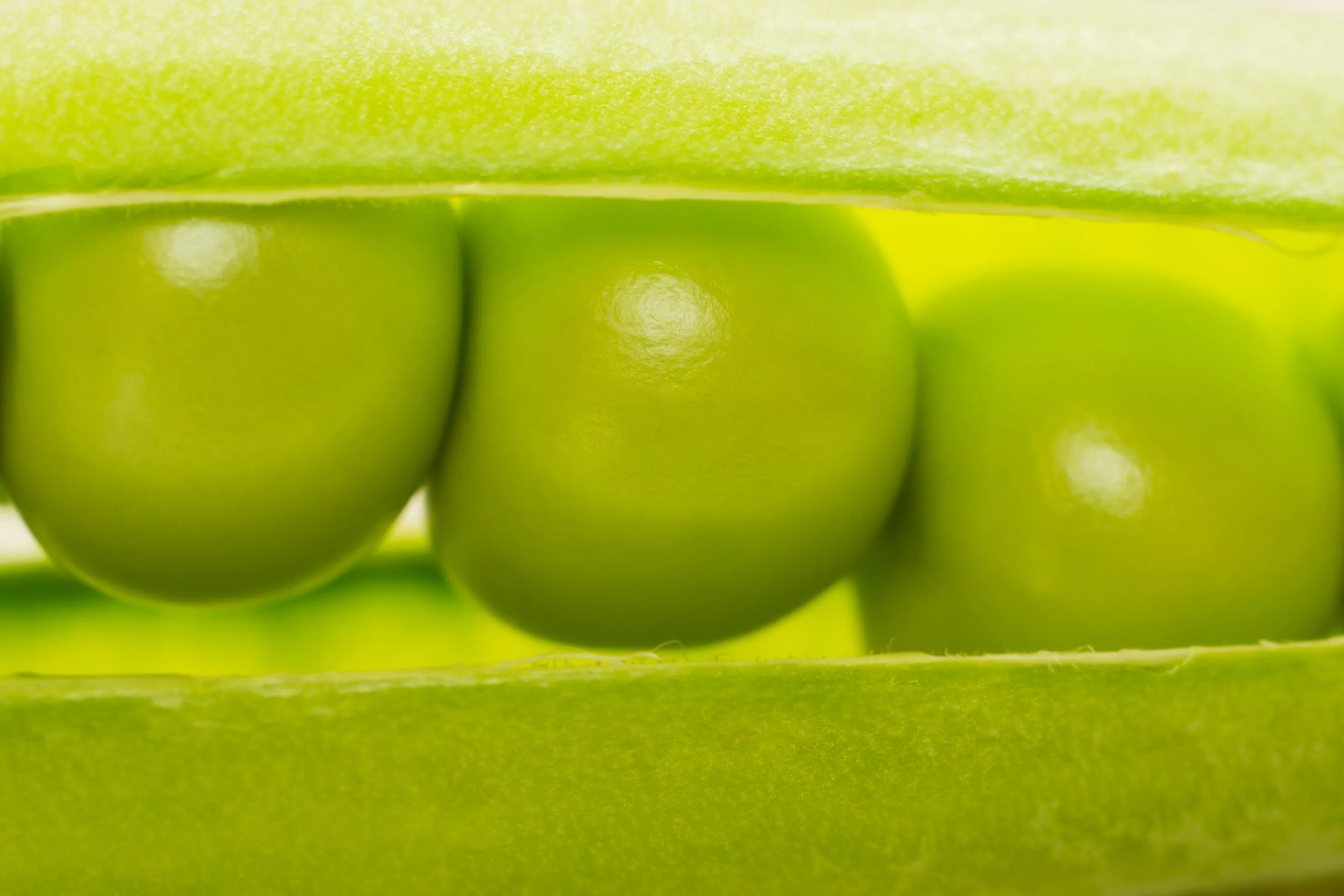 Three Peas in a Pod