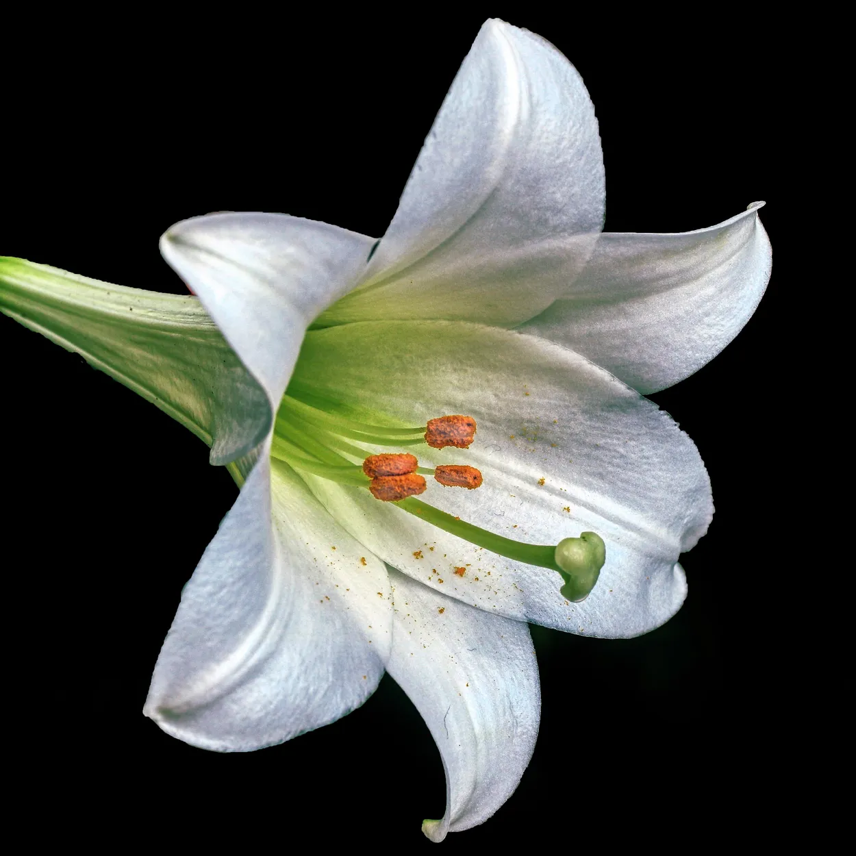 Entry 9490407