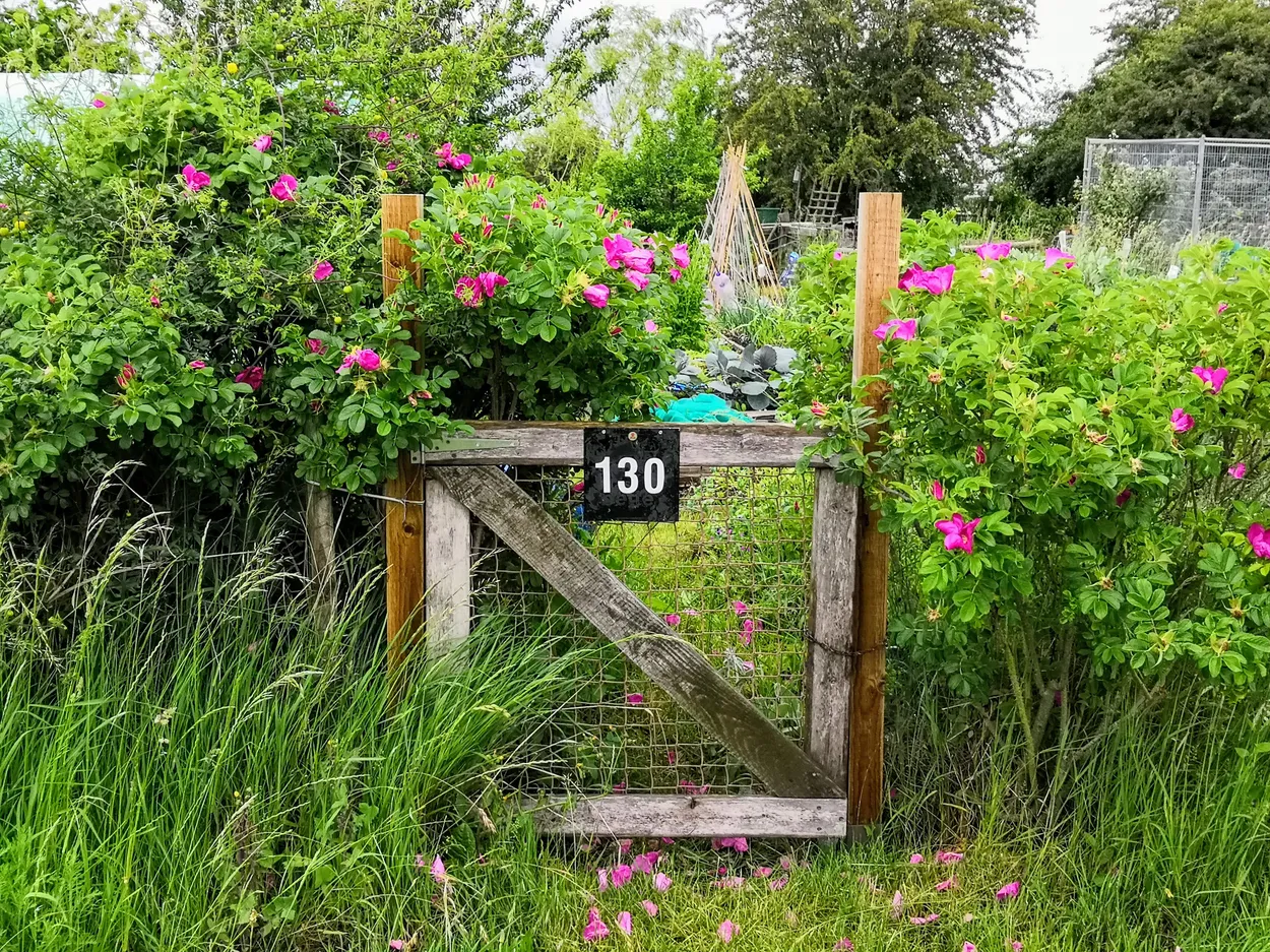 Entry 9493676