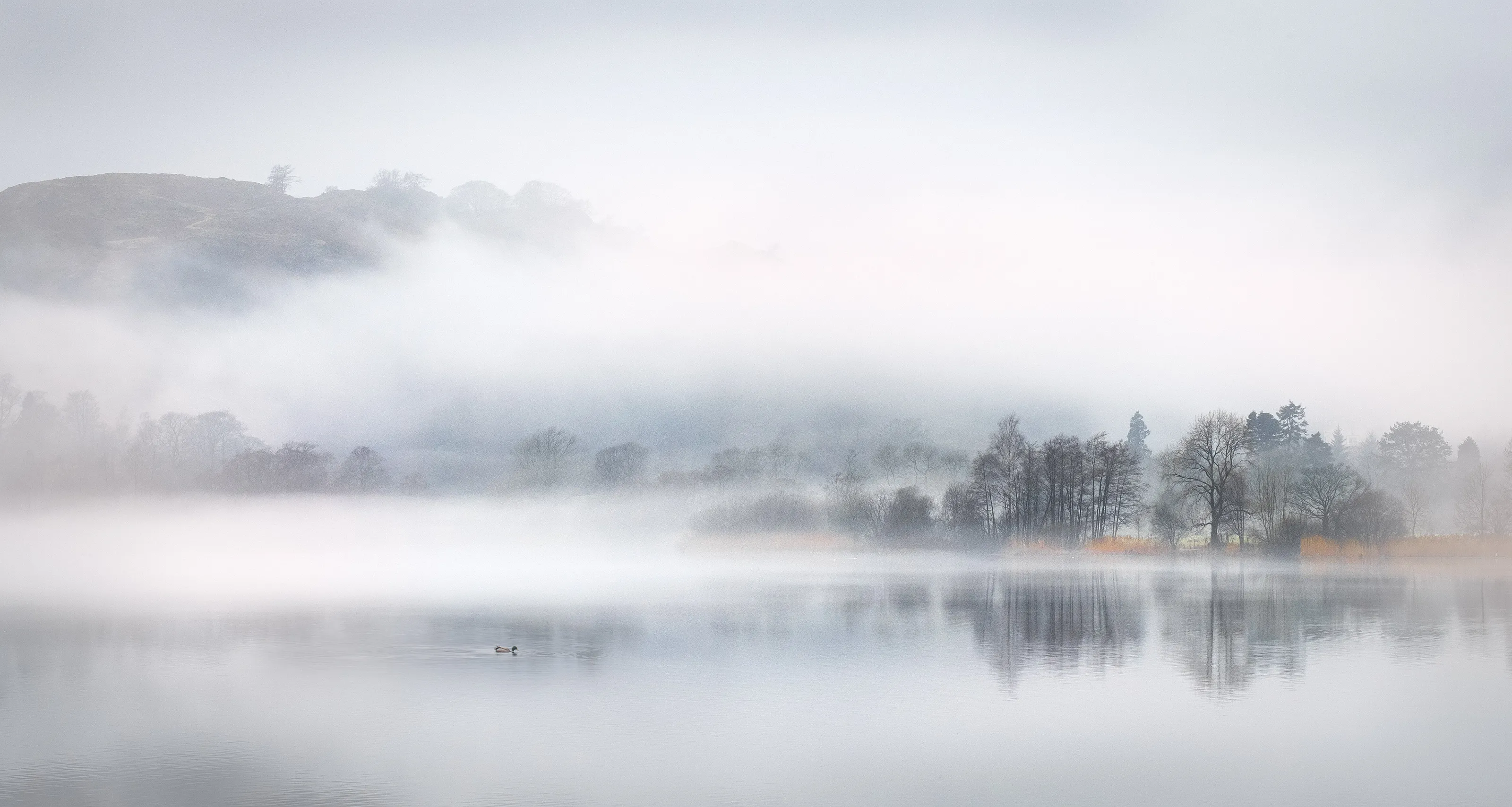 Misty Morning Grasmere