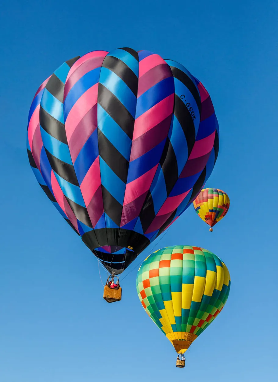 Entry 23575636