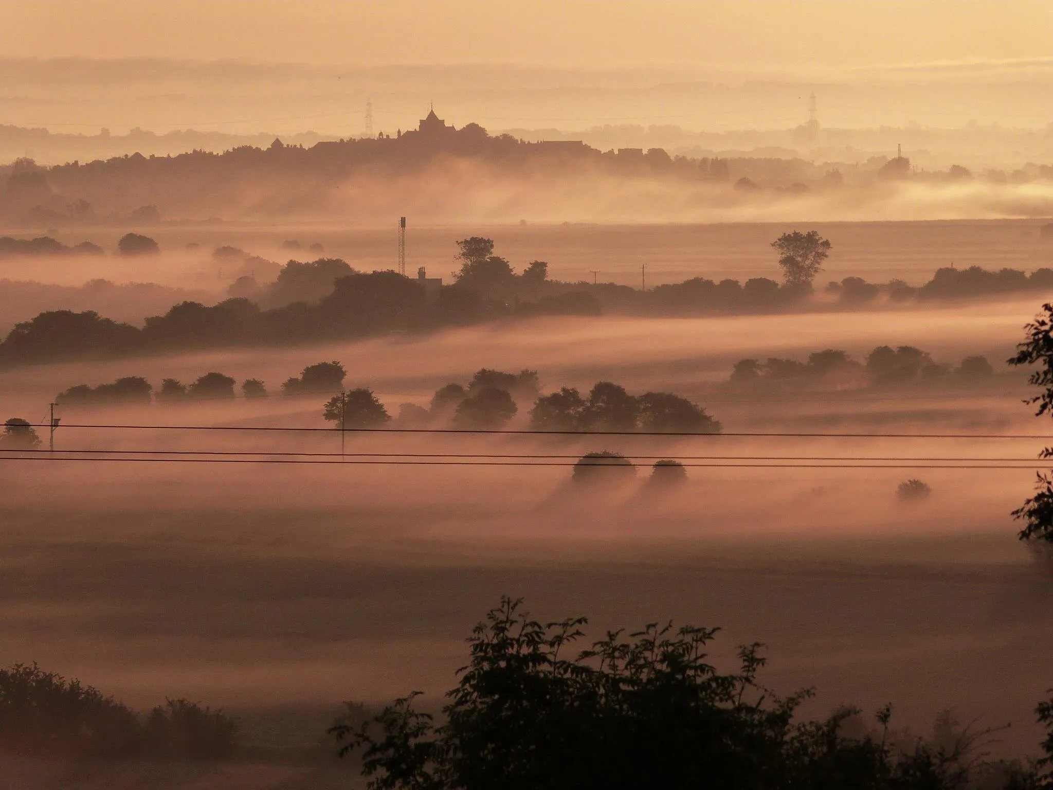 Rye at Dawn