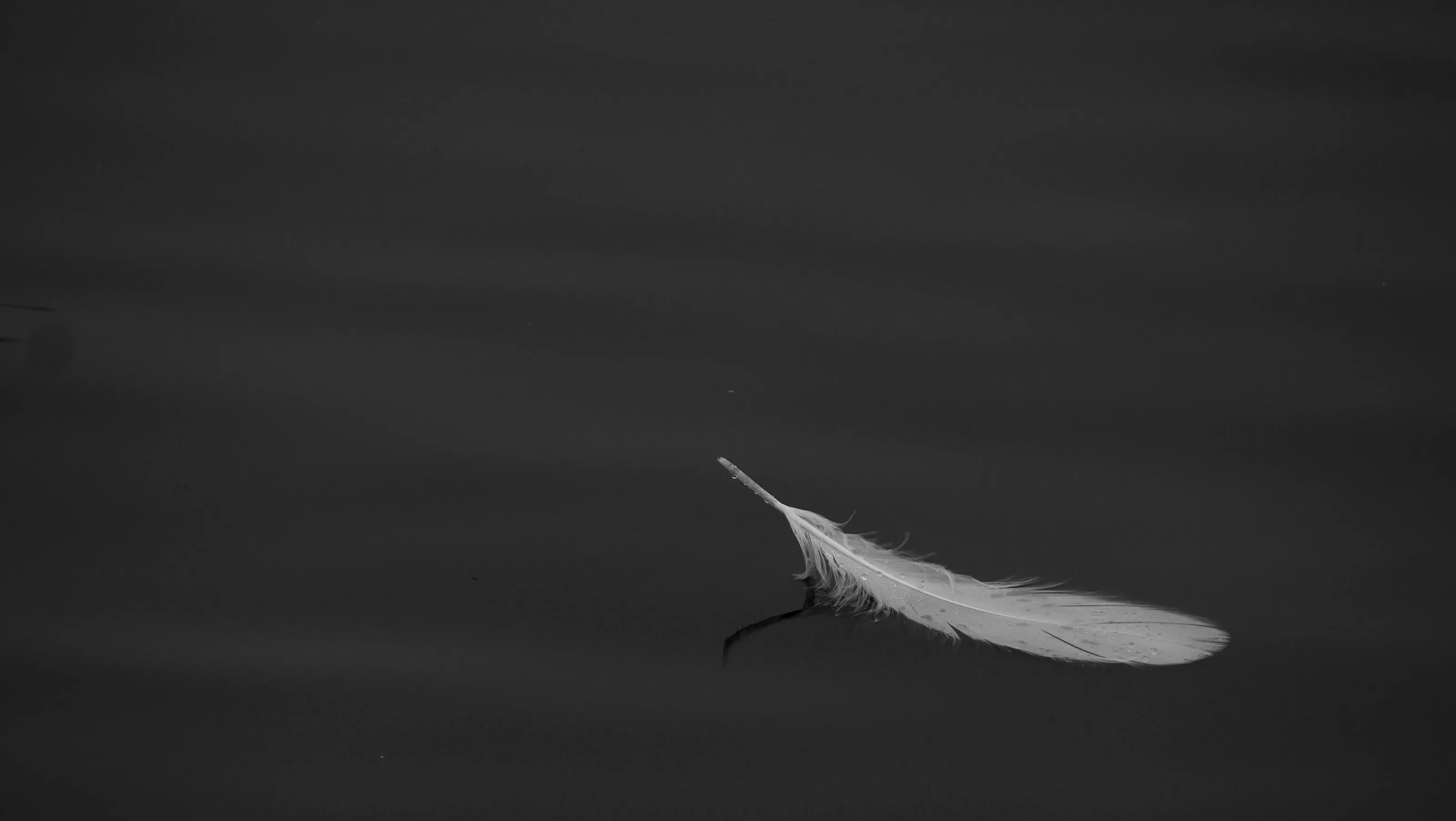 Simple, yet captivating.