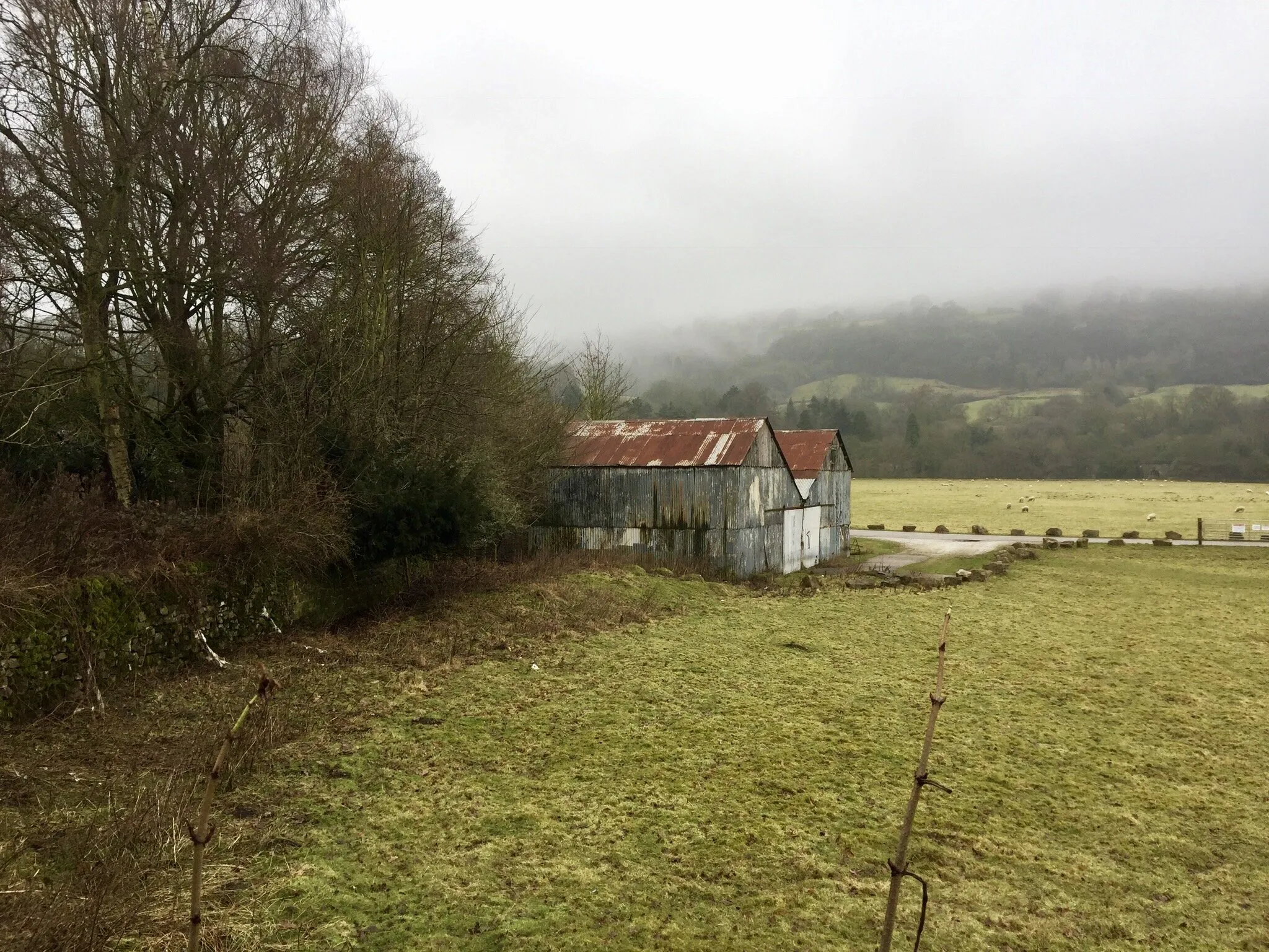 Tin Sheds