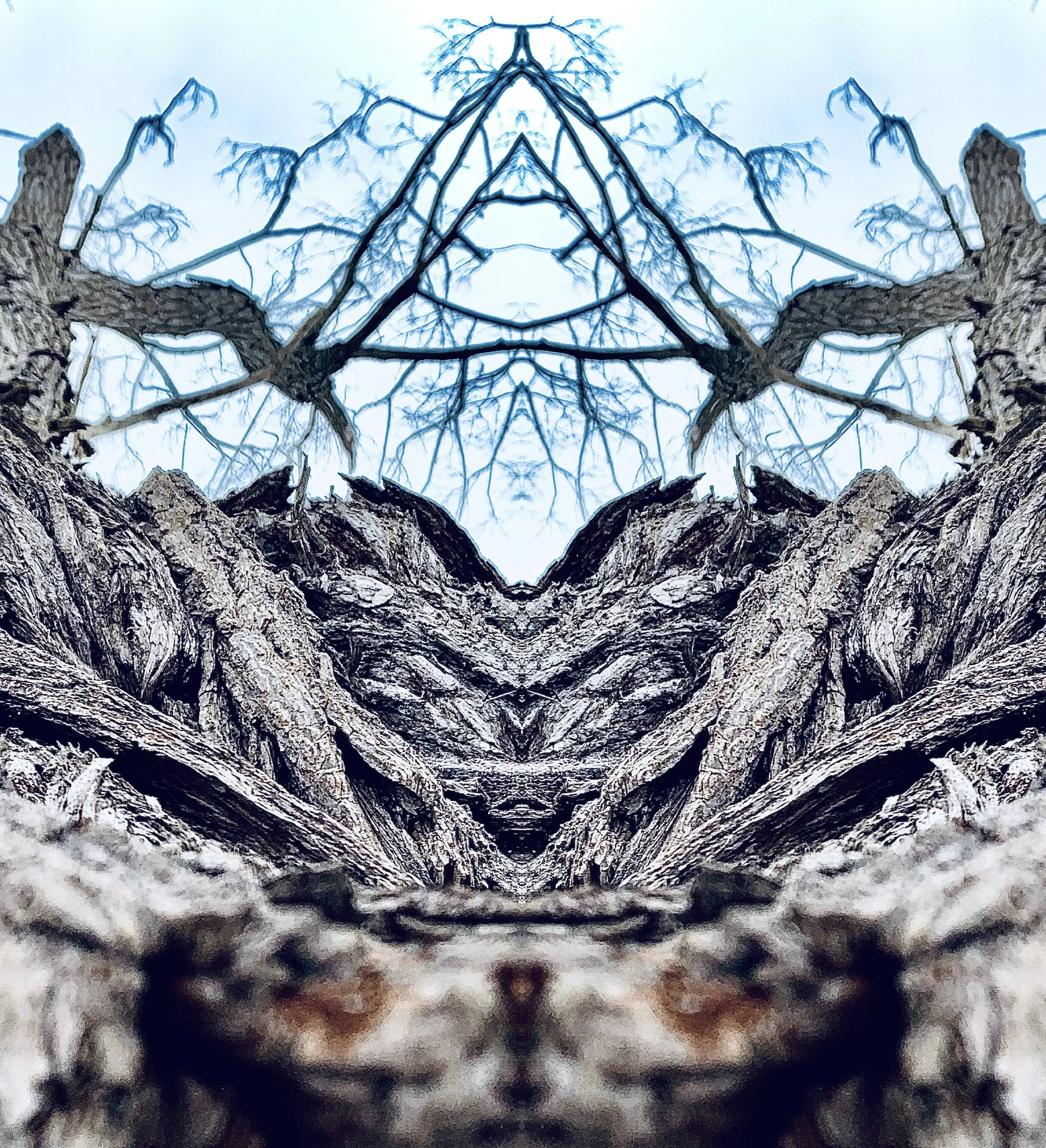 Banner image