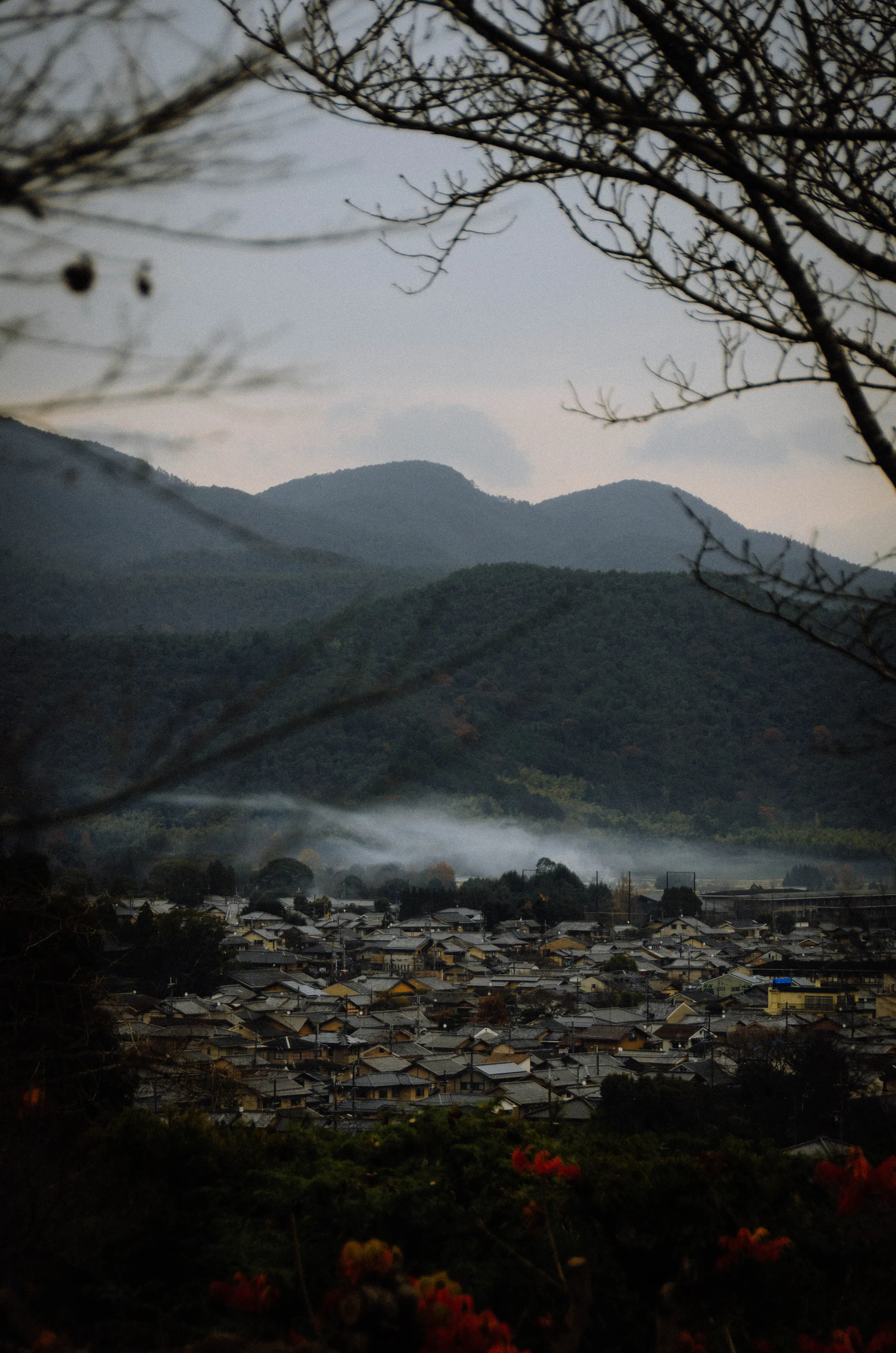 The fog.