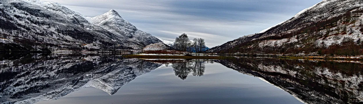 Entry 11247597
