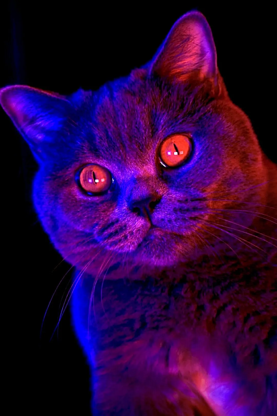 "Lights on"