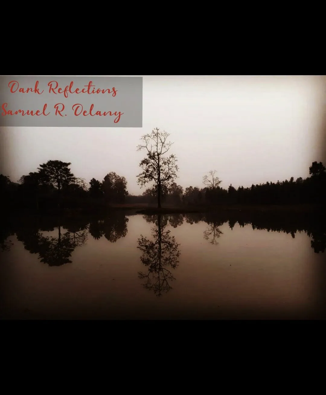 DARK REFLECTIONS by SAMUEL R. DELANY