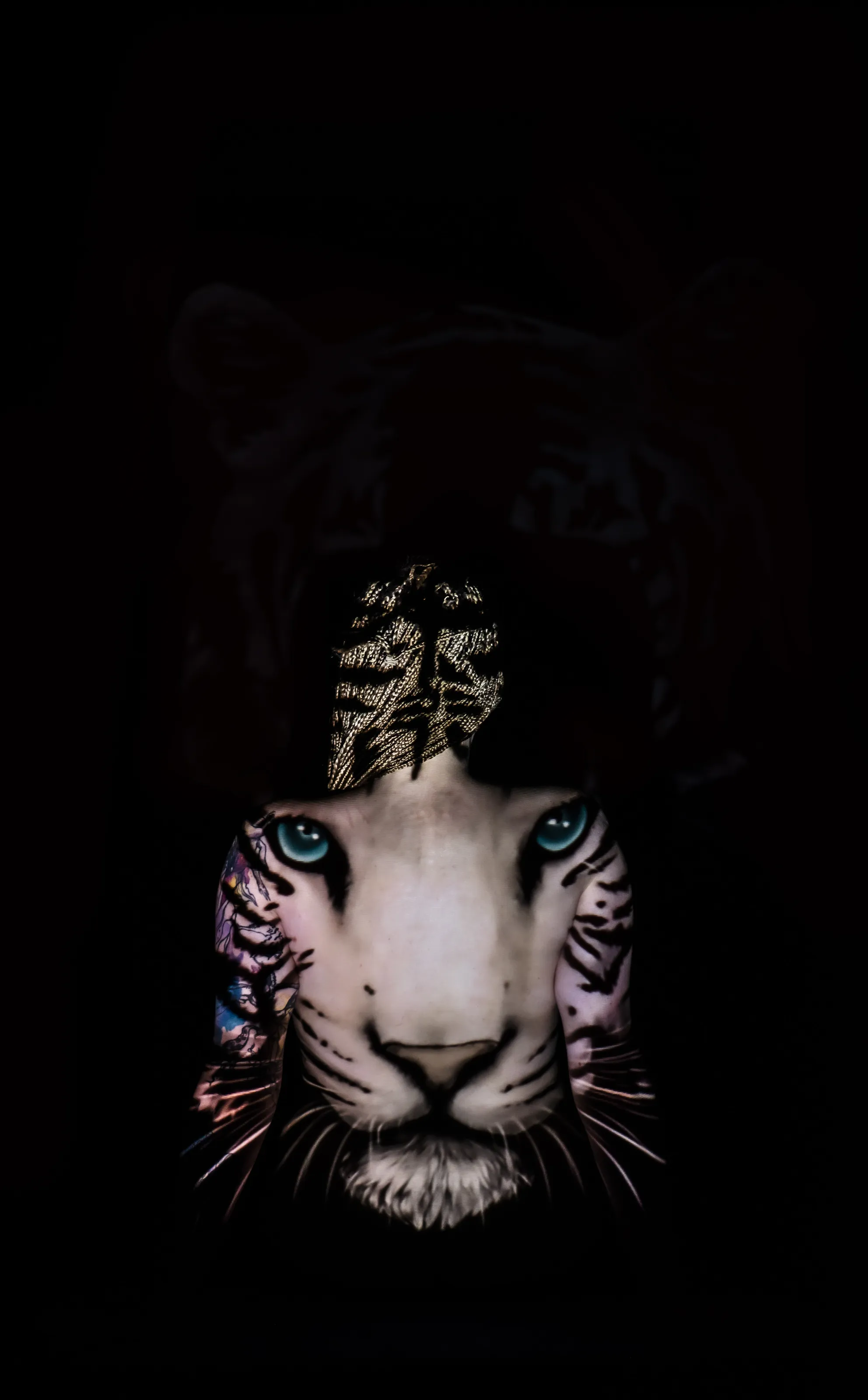 Eye  of  the tiger