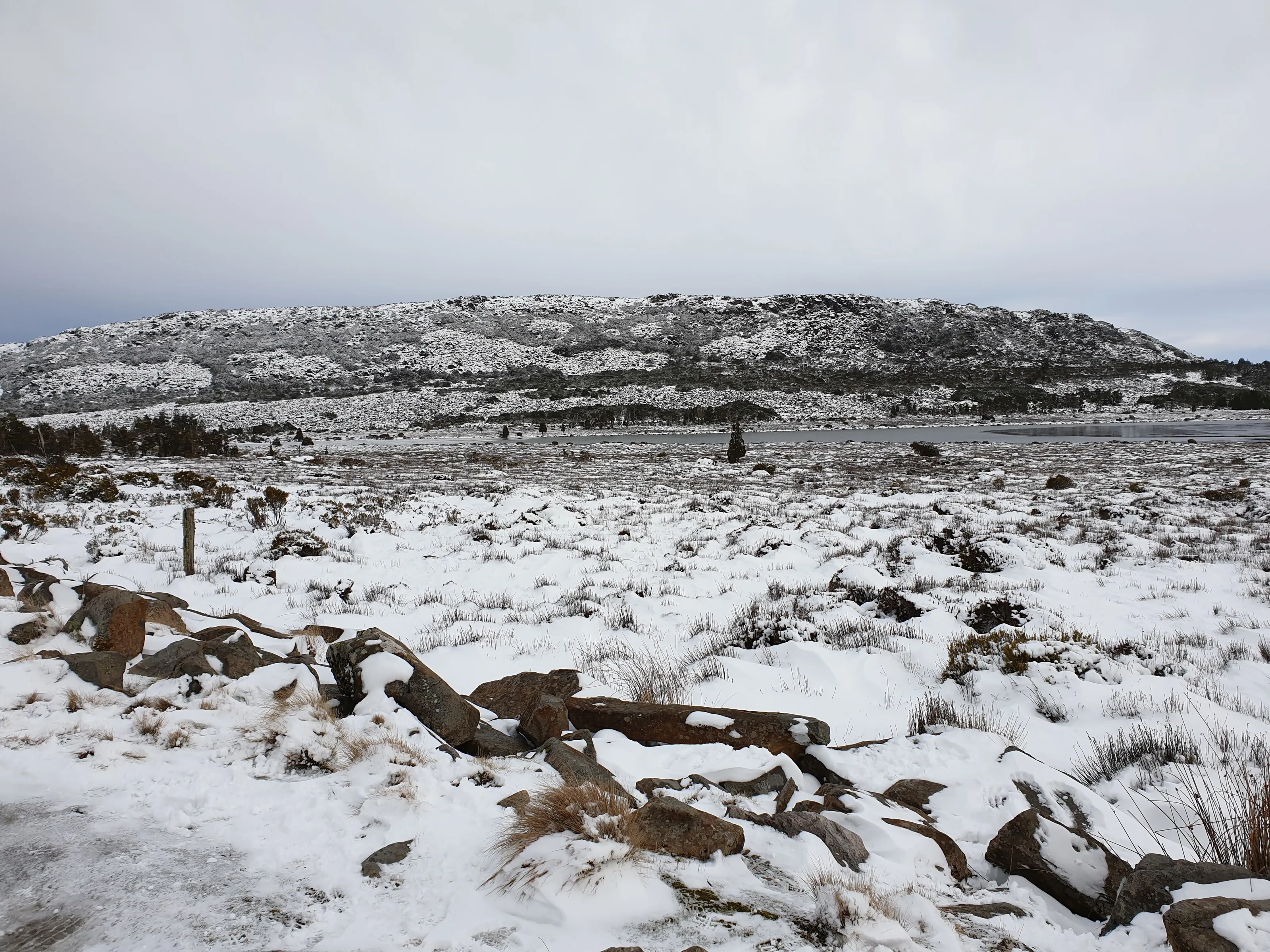 Tasmanian winter desolation