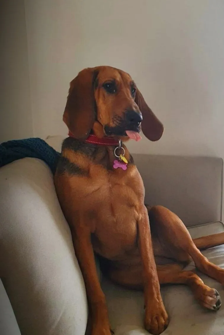 Willow, couch surfing