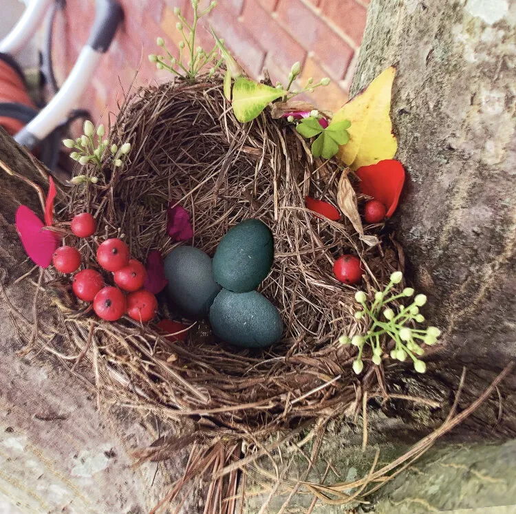 Baby Bird Eggs