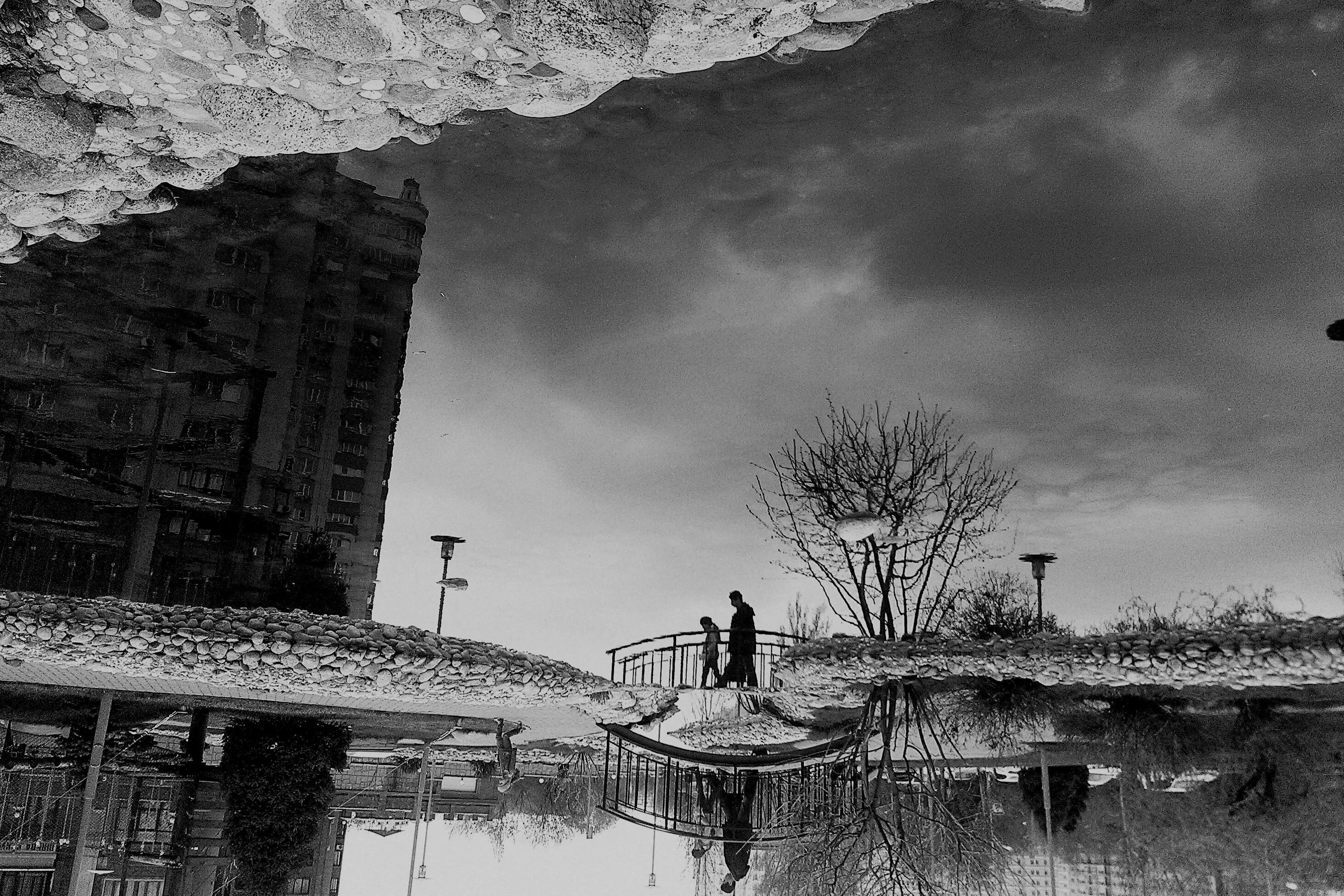 Reflection