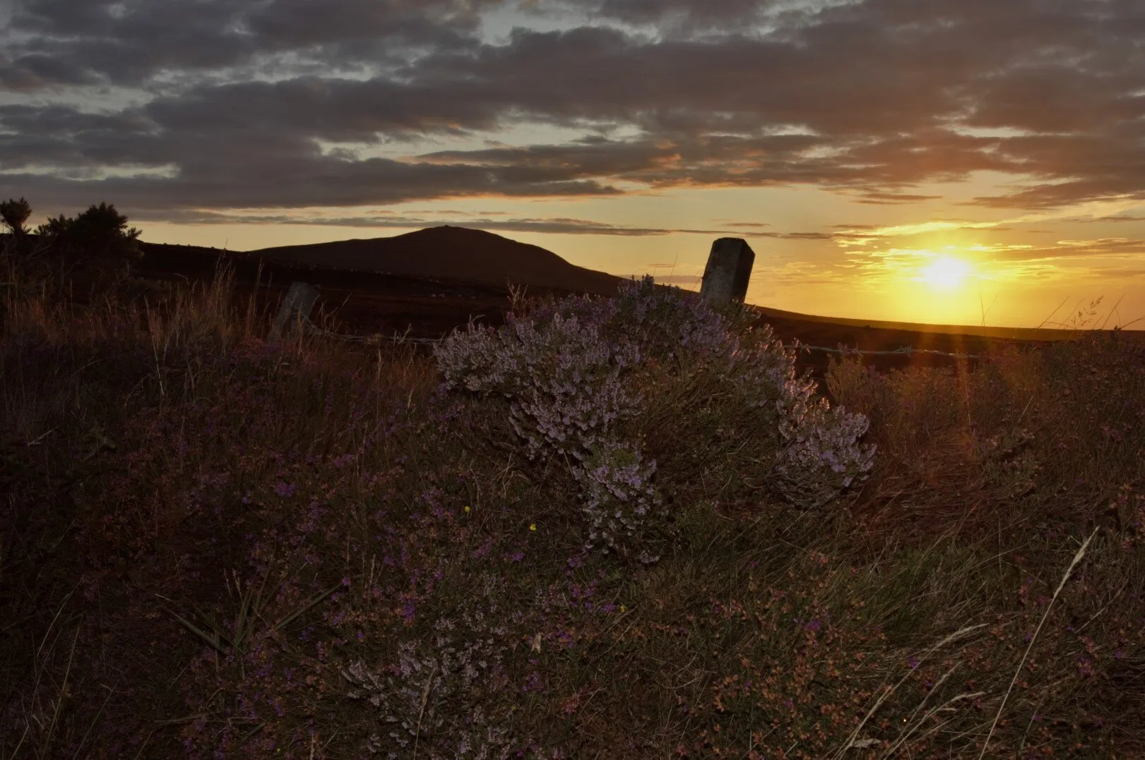 Autumn Sunset