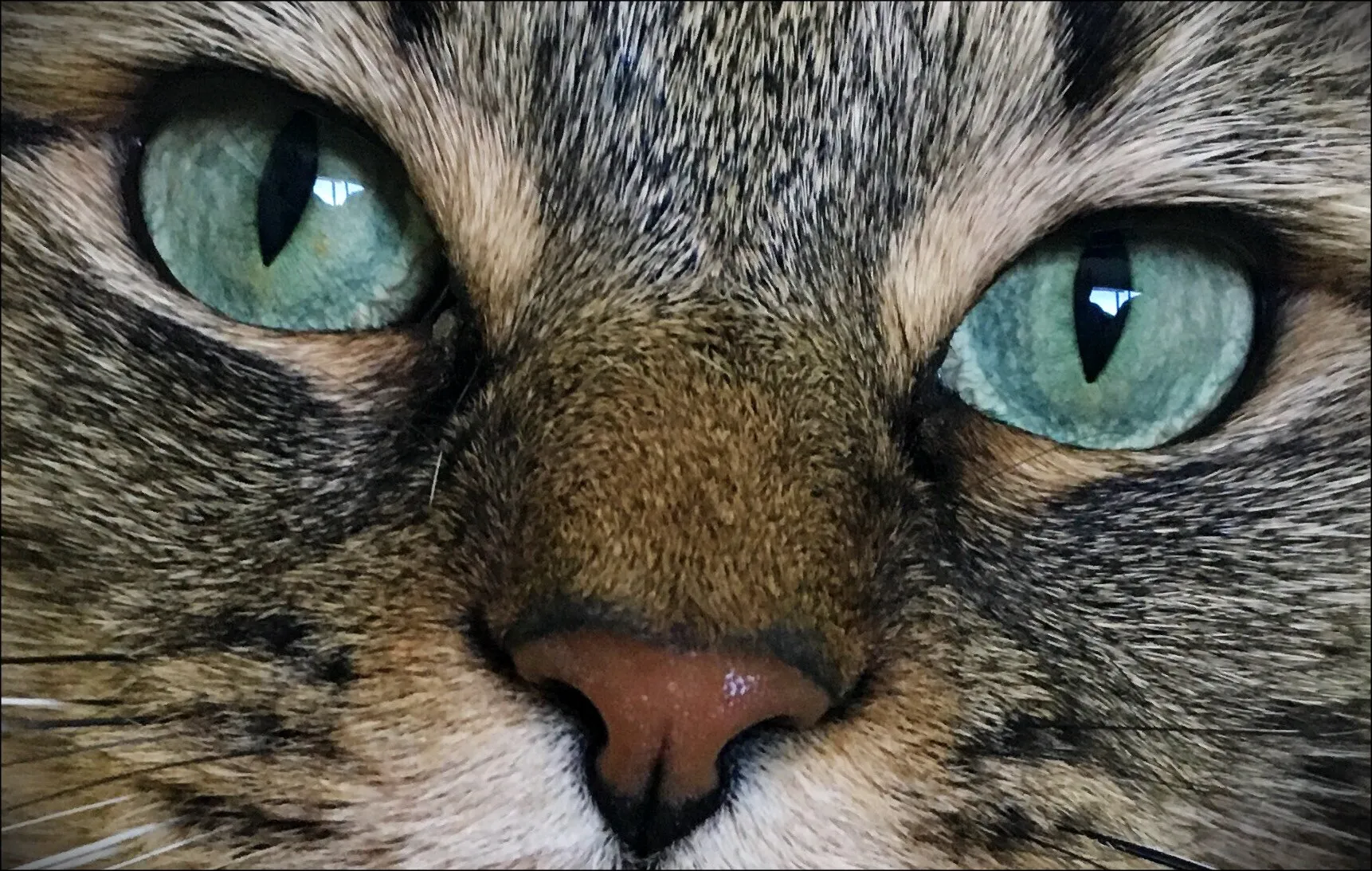 Entry 1488910