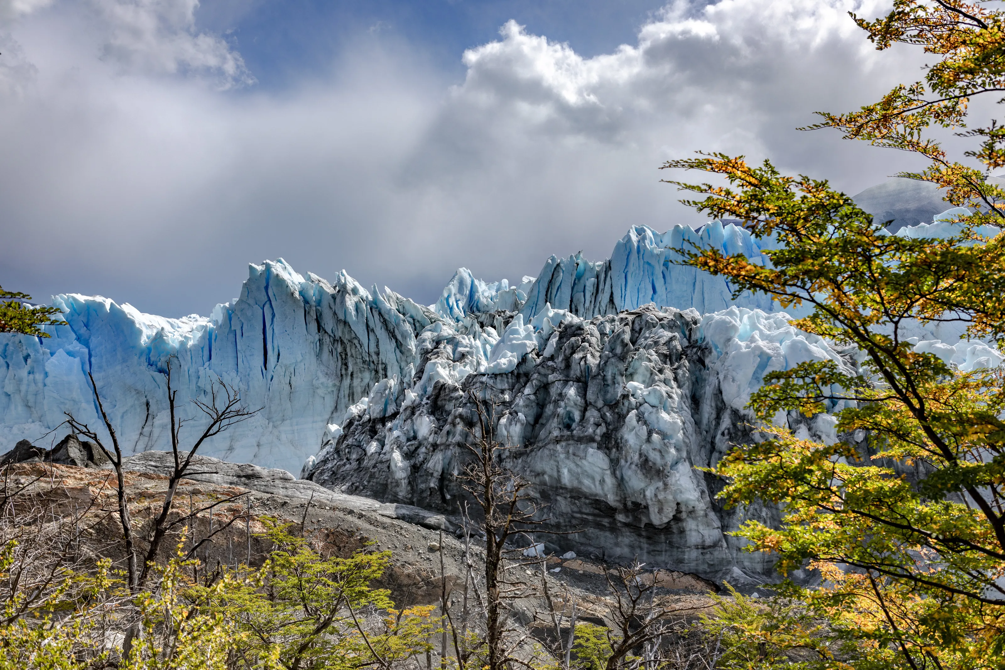 Blue ice and Autumn leaves