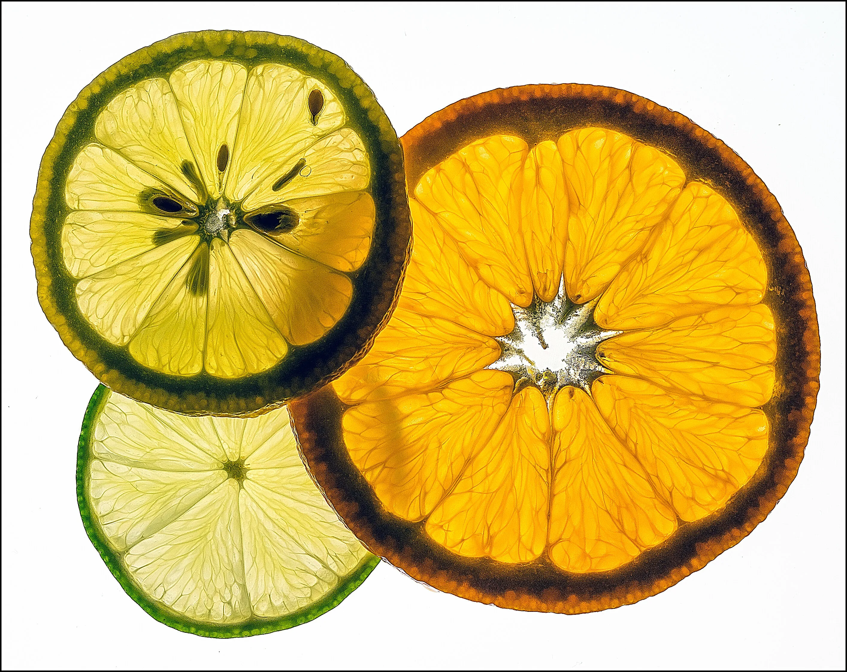 Citrus