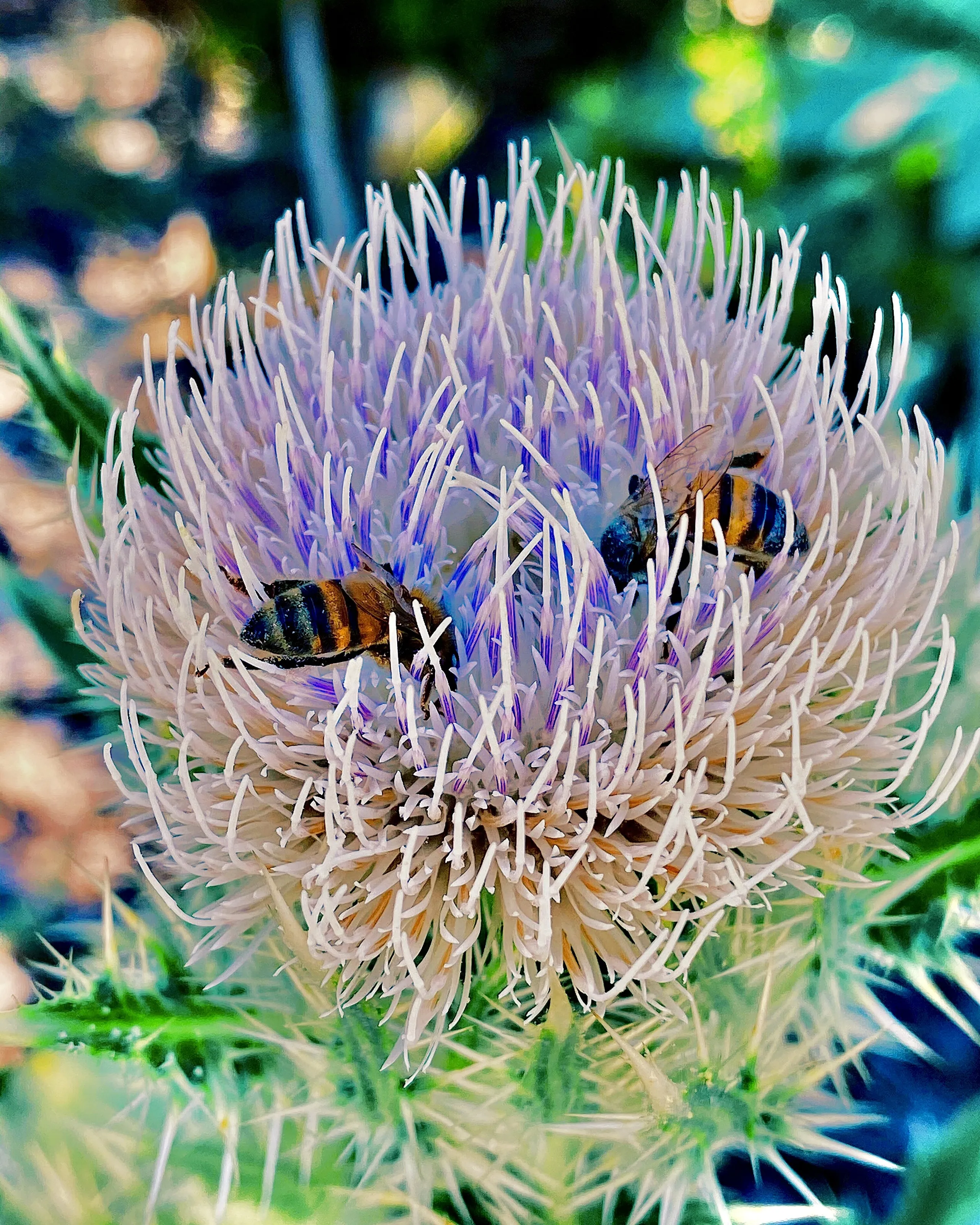 Buzzy bees at work