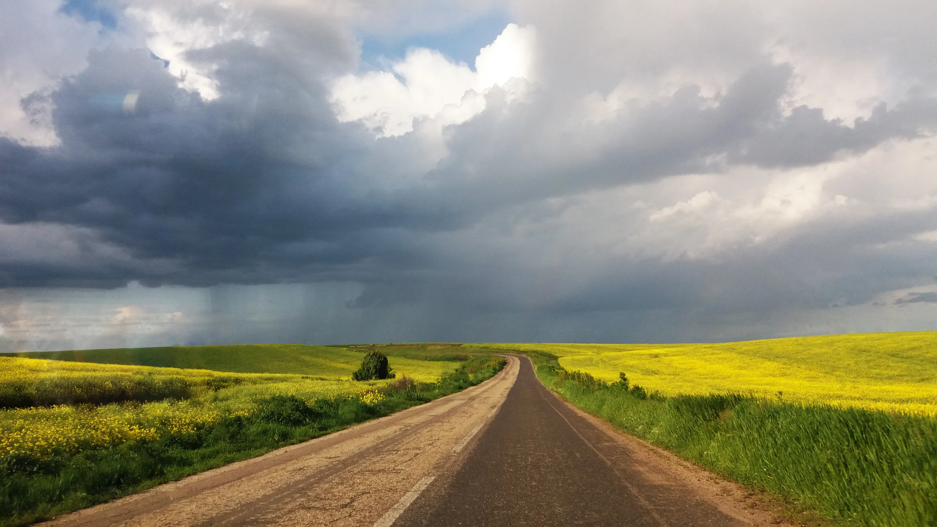 Yellow field