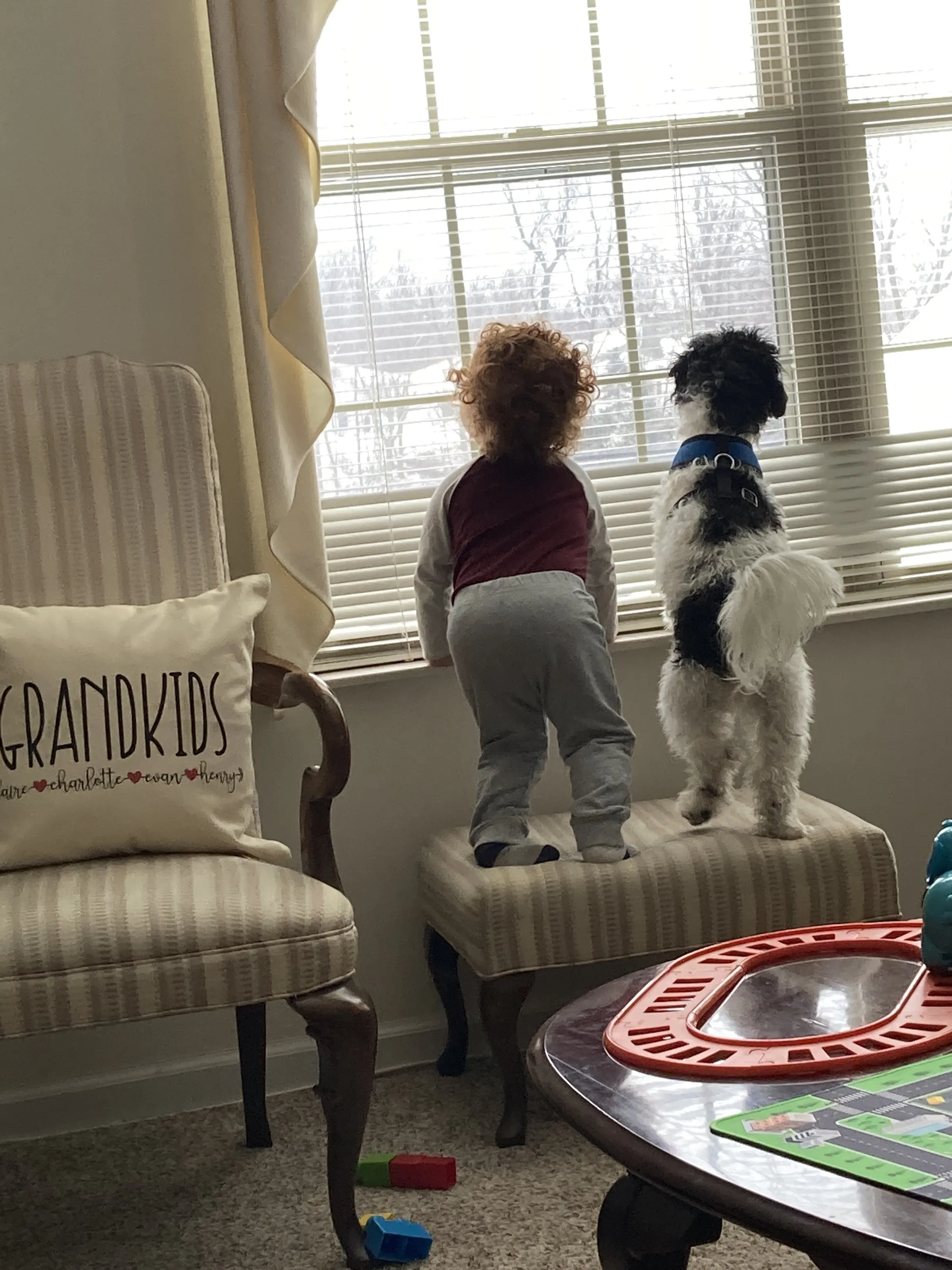 Watching for Grandma!