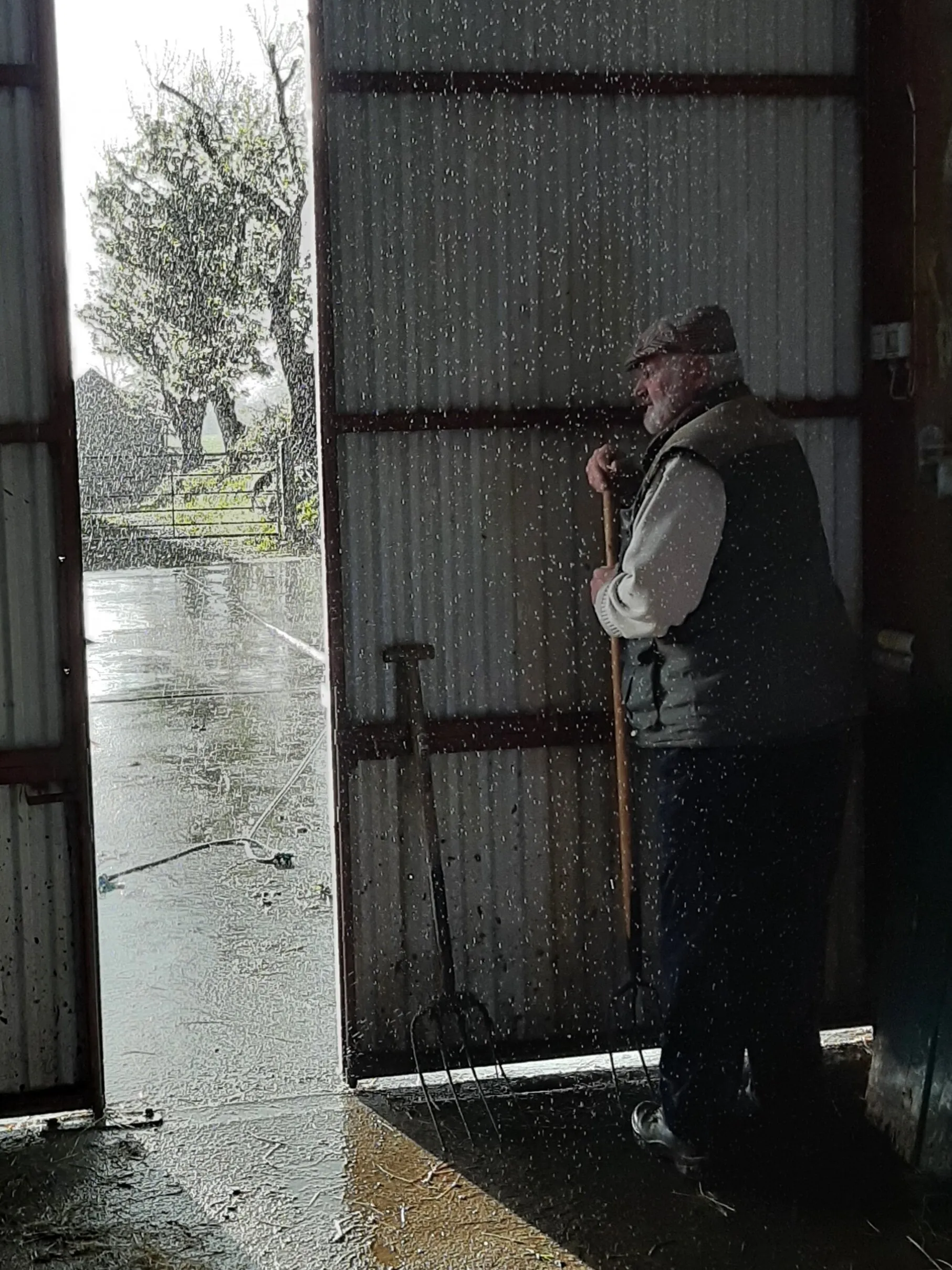 May rain