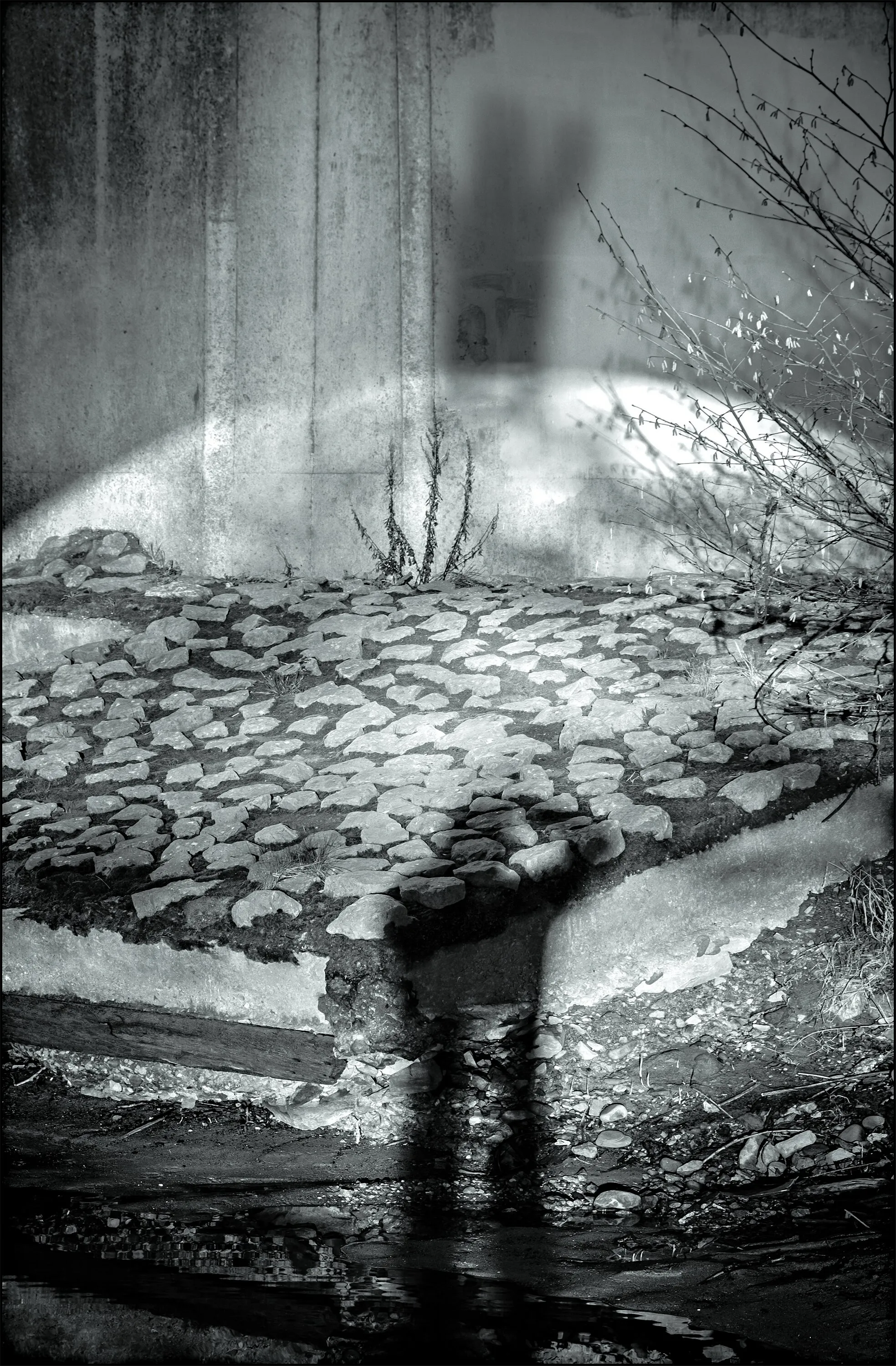Peter pan's shadow