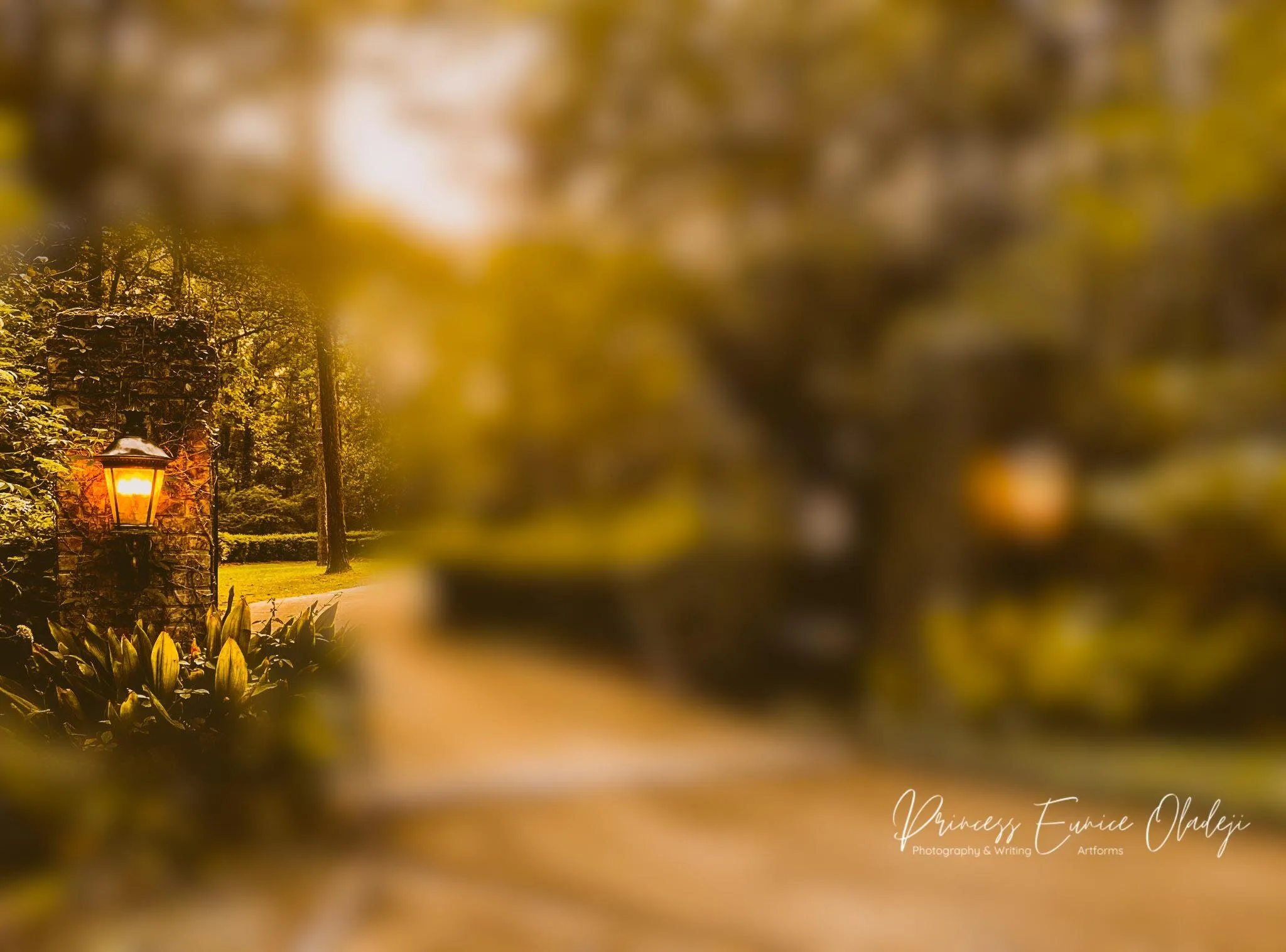 The Lamp's Light
