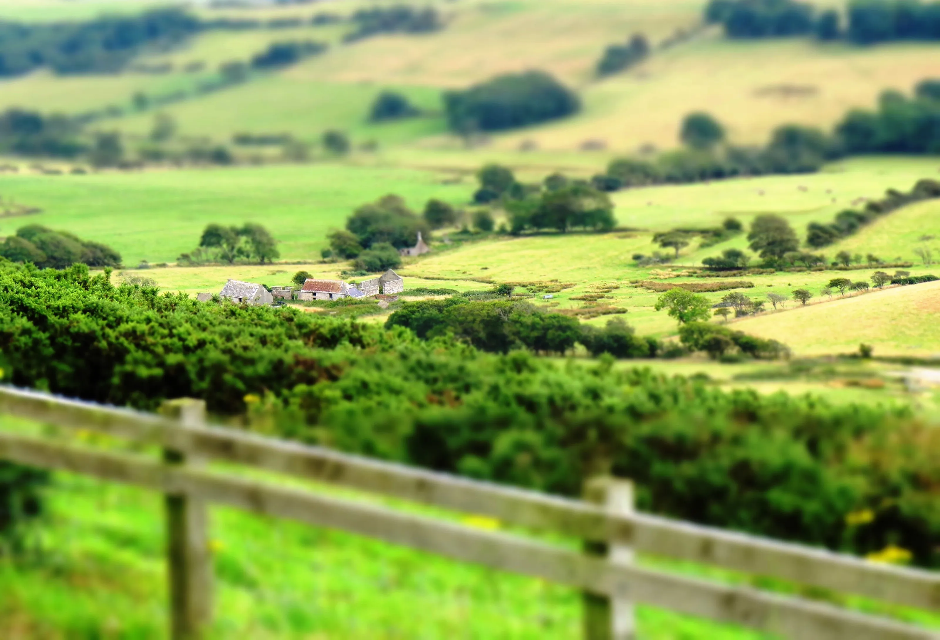 Amongst the rolling hills