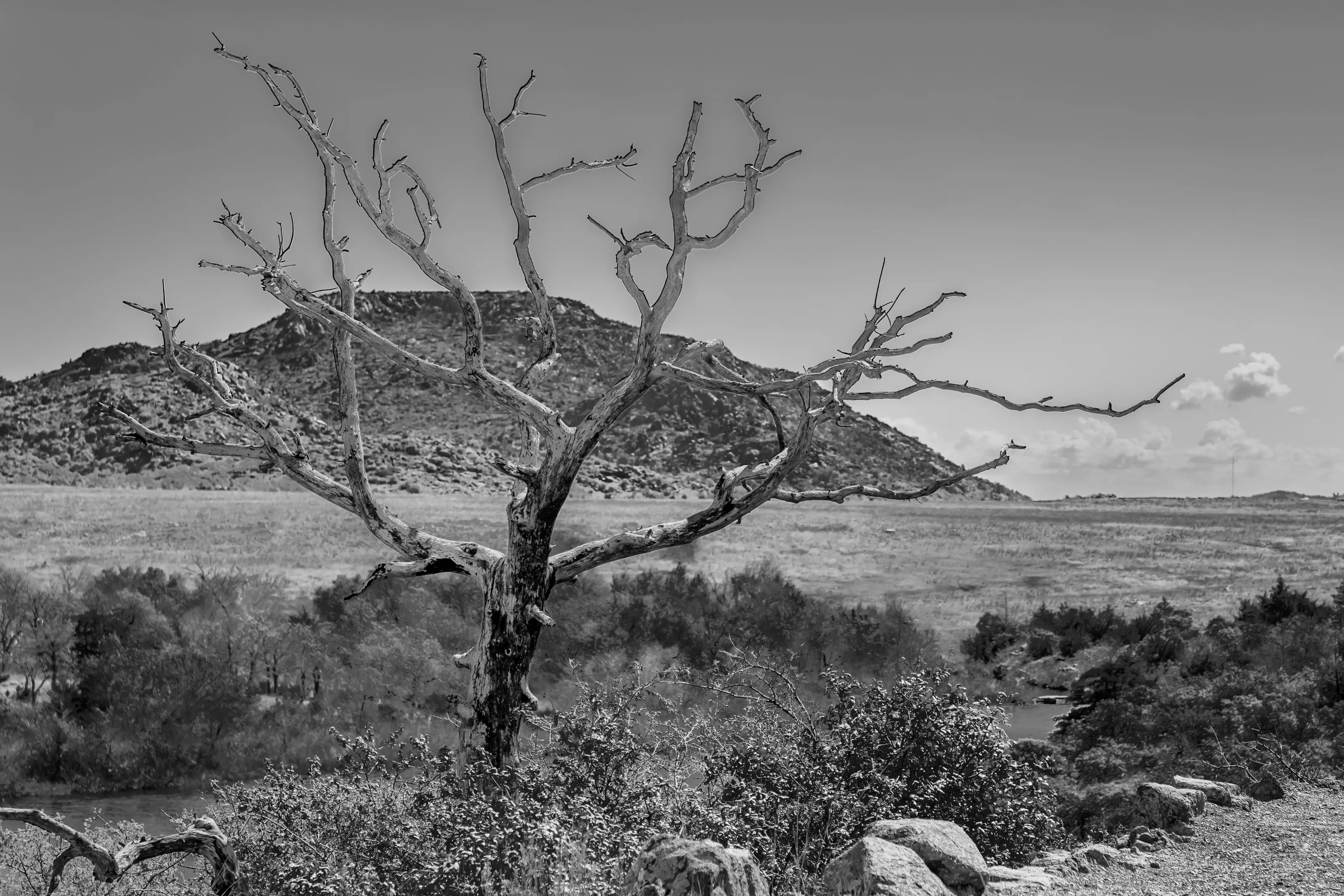Mt Scott