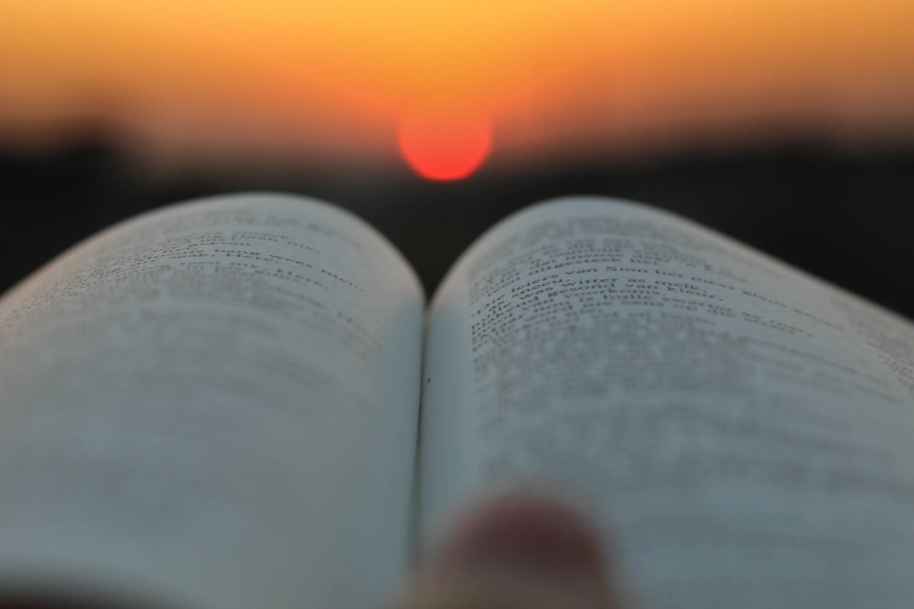 A book a day keeps the stupid away