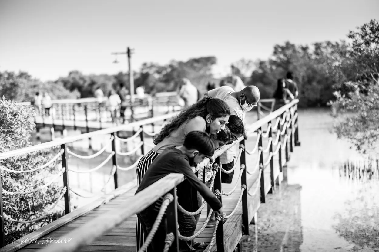 Entry 9632708