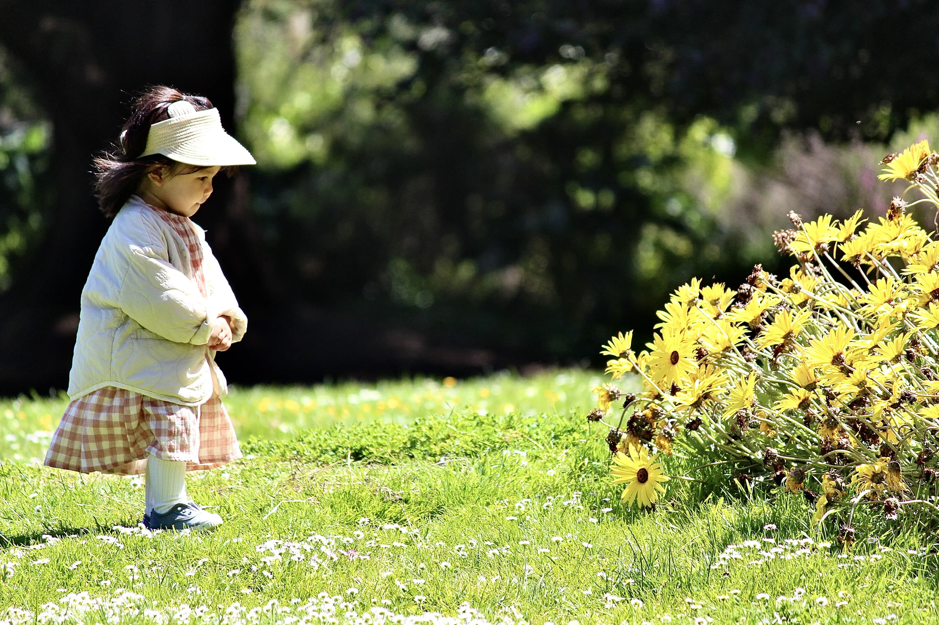 Little women in golden gate park