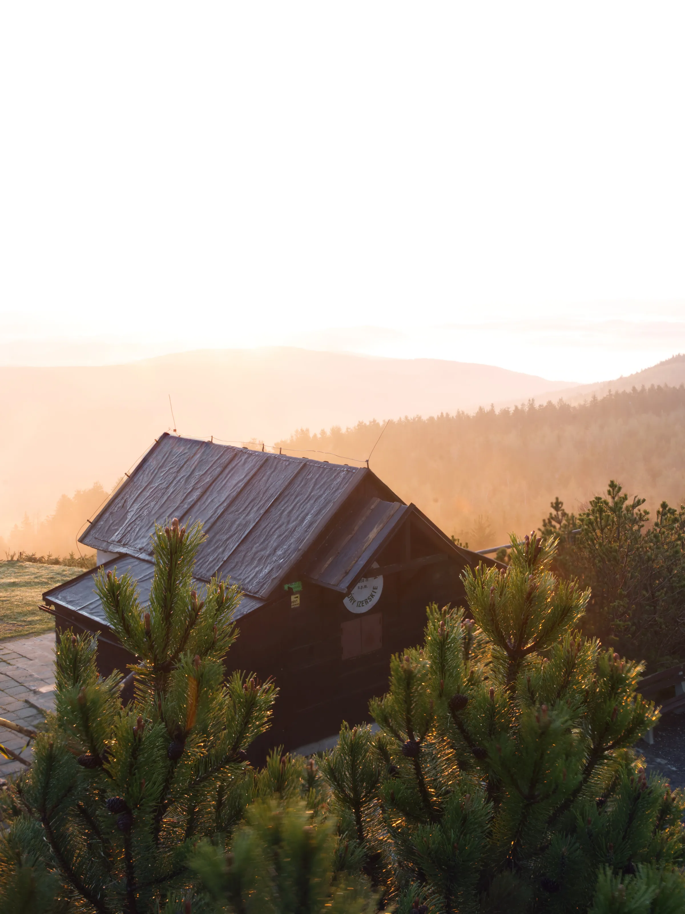 misty rising sun