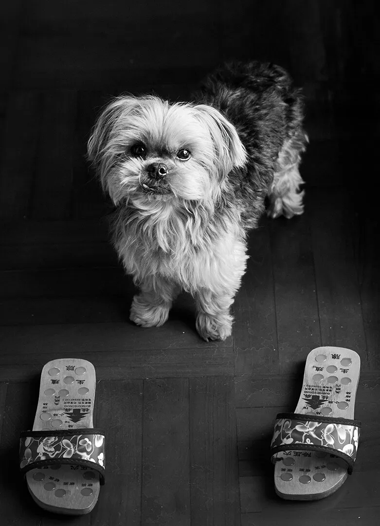 Entry 9641639