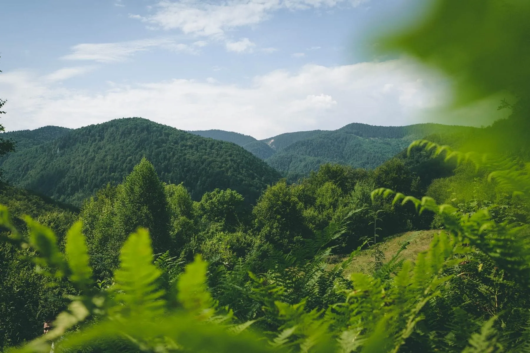 Padis - Romania