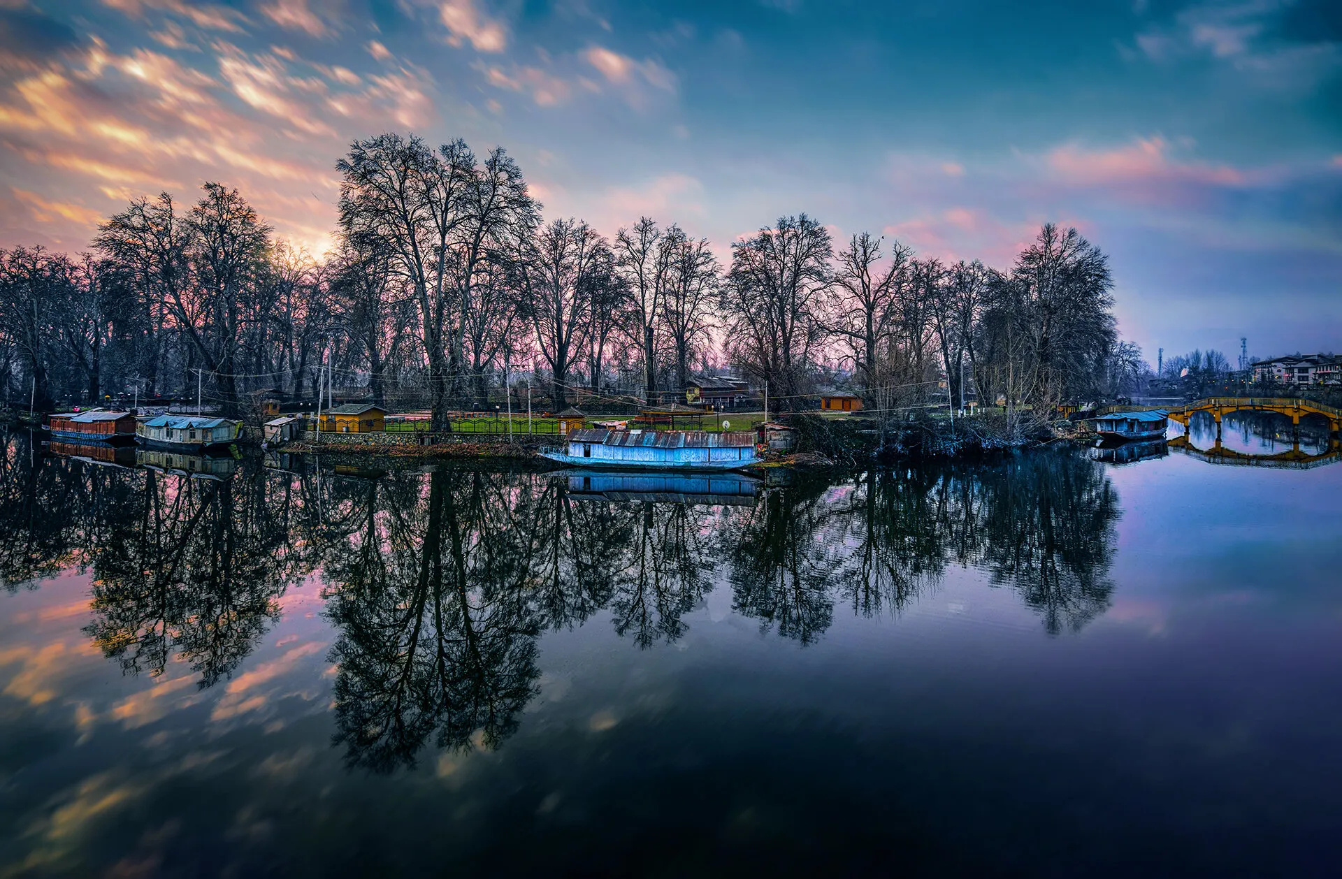 Nature's Reflection