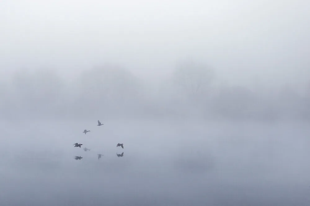 Quiescence