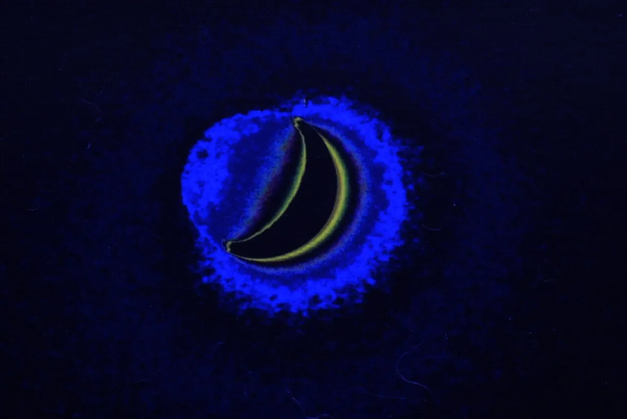 Banana Moon