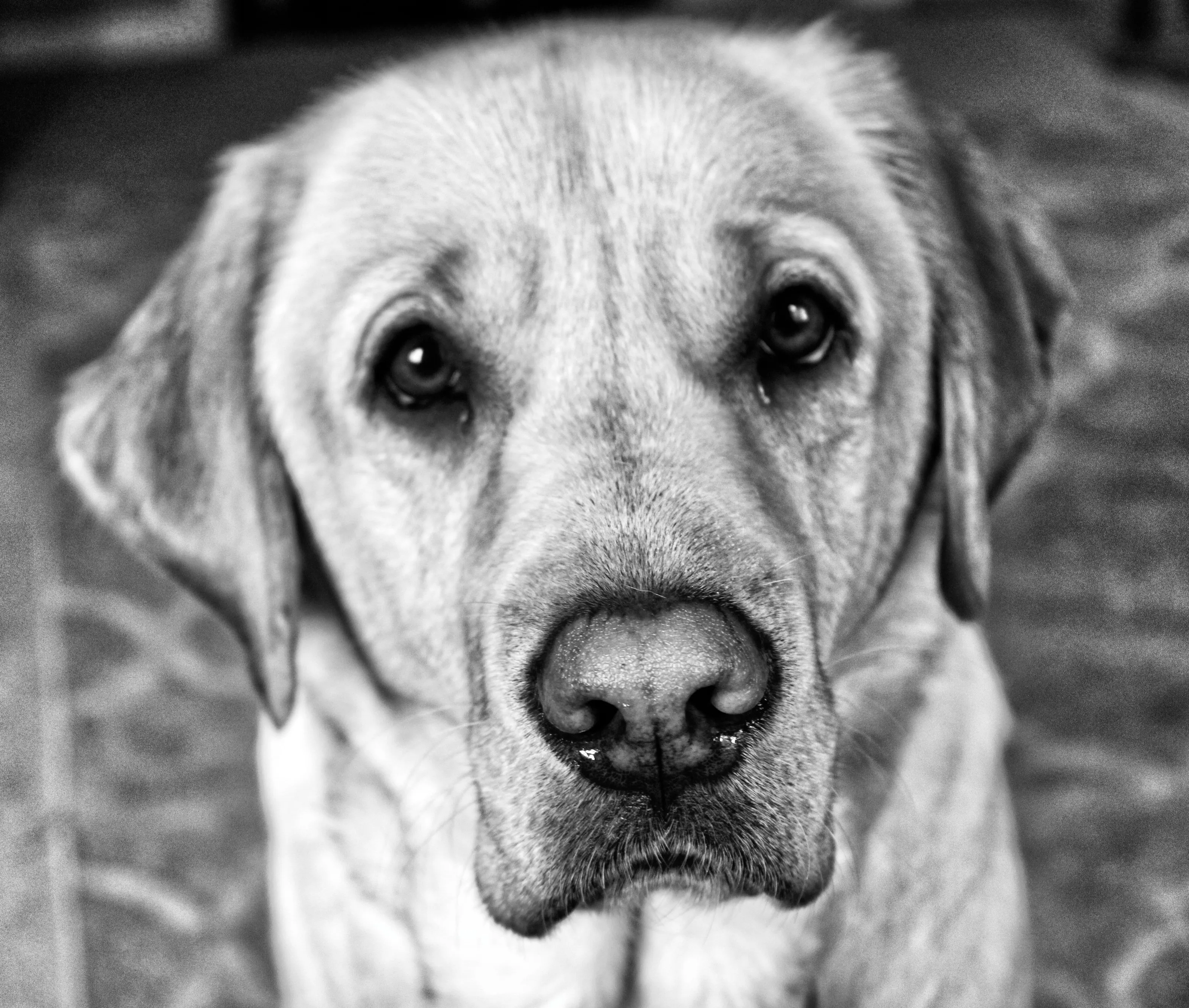 Is It Dinner Time?
