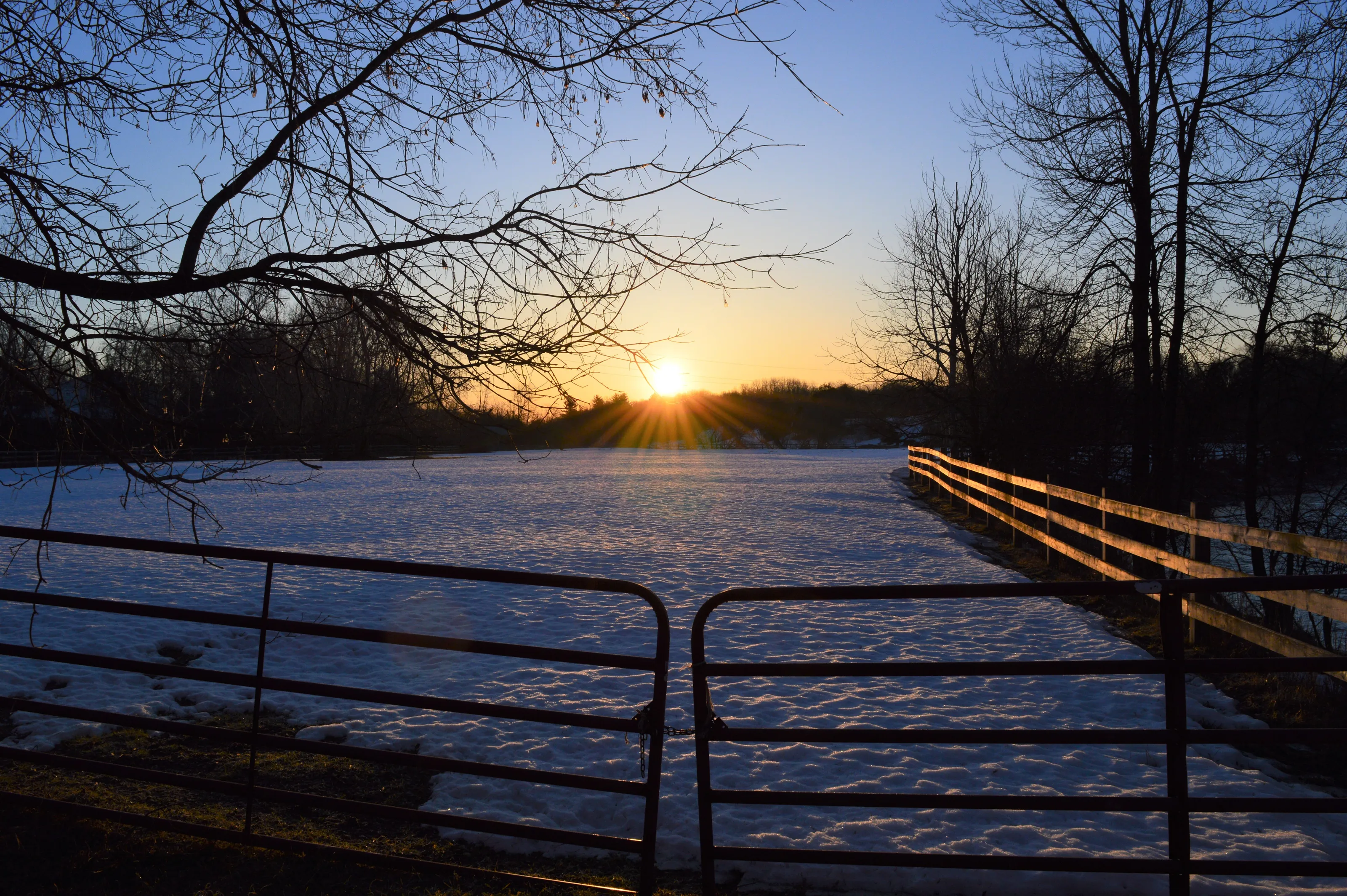 March Sunrise