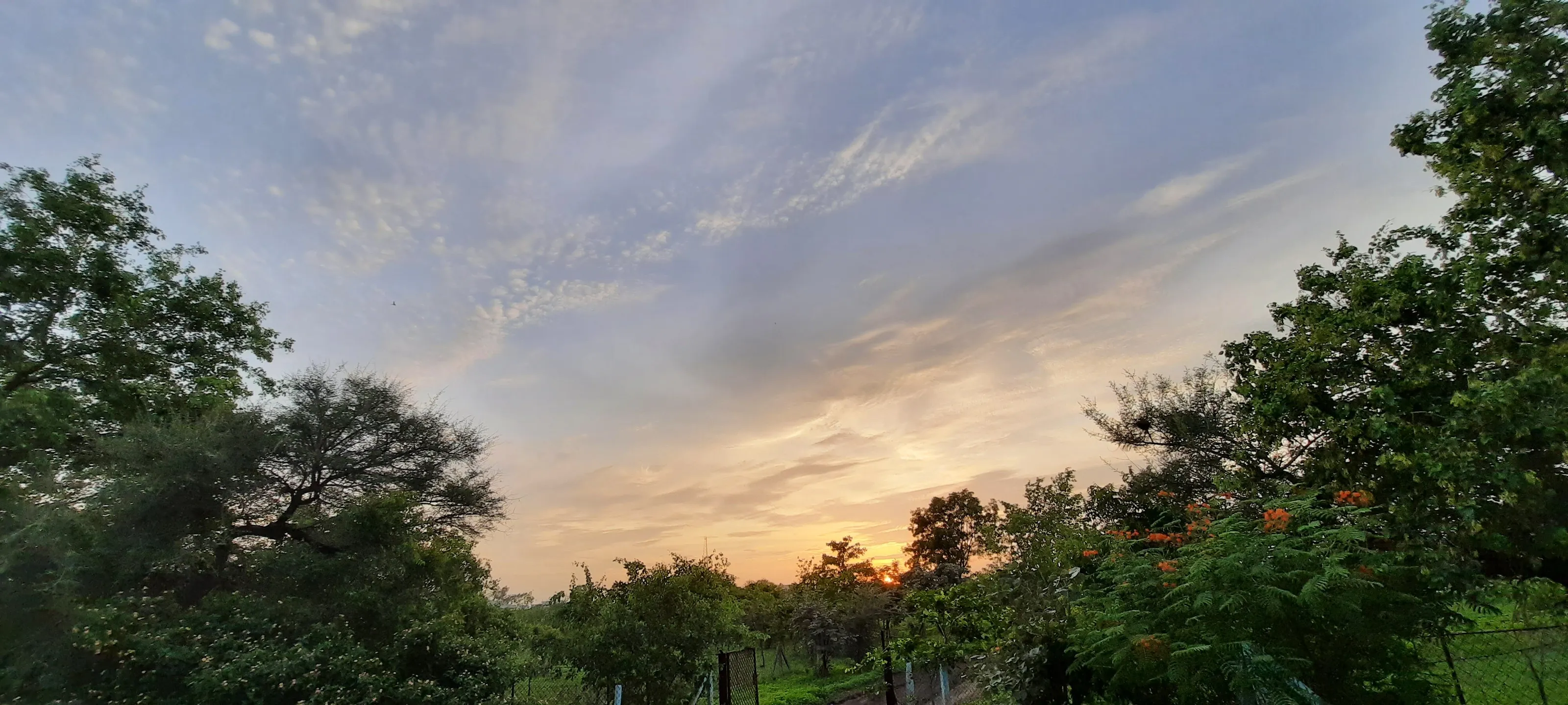 Sunset state of mind