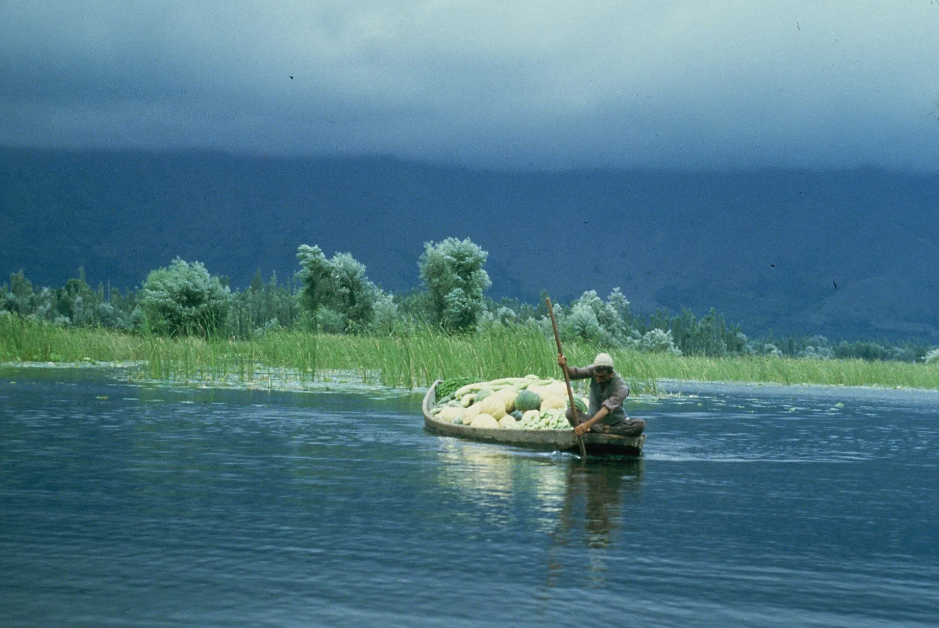 Shakara on Dal Lake