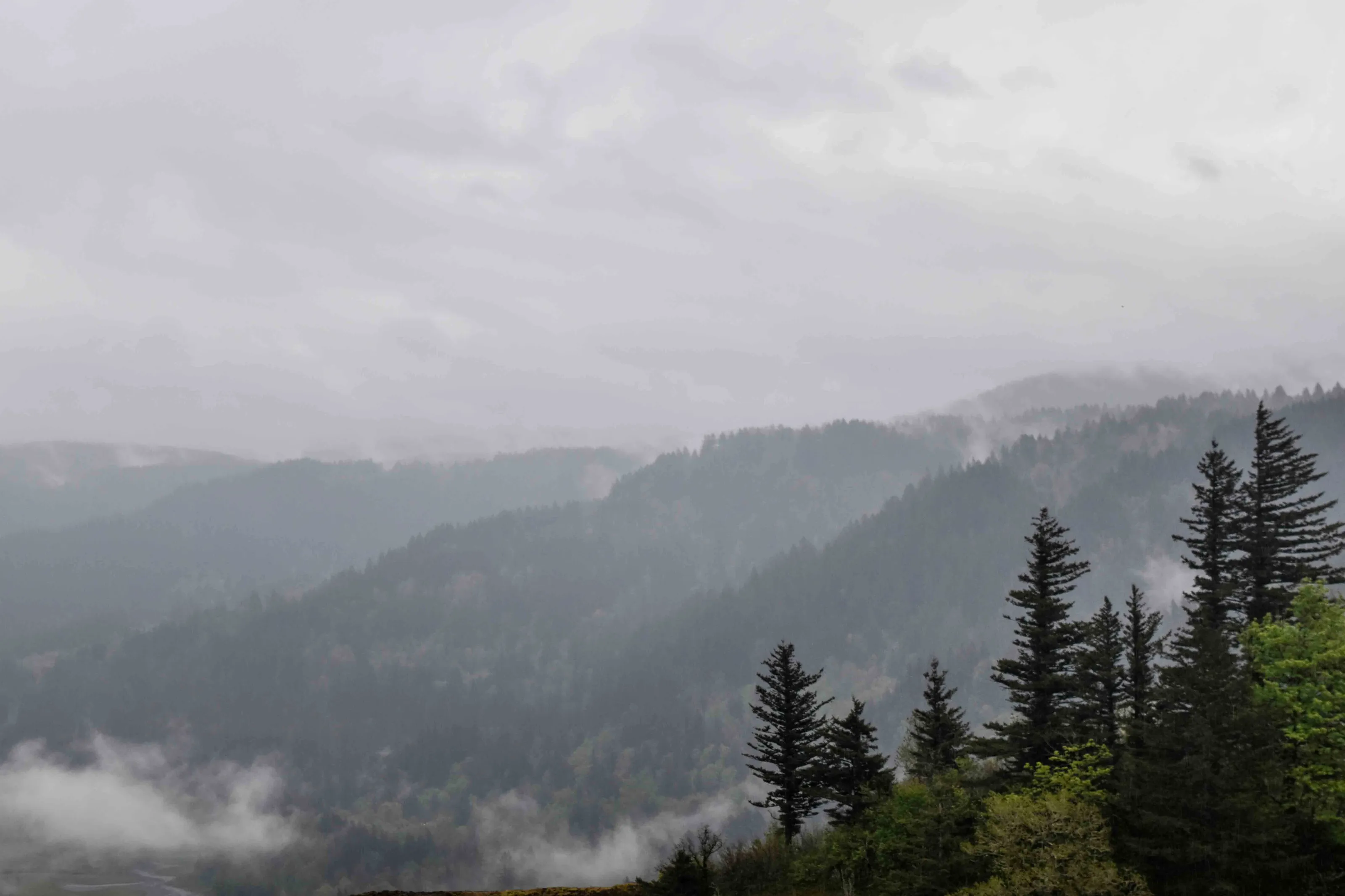 Oregon