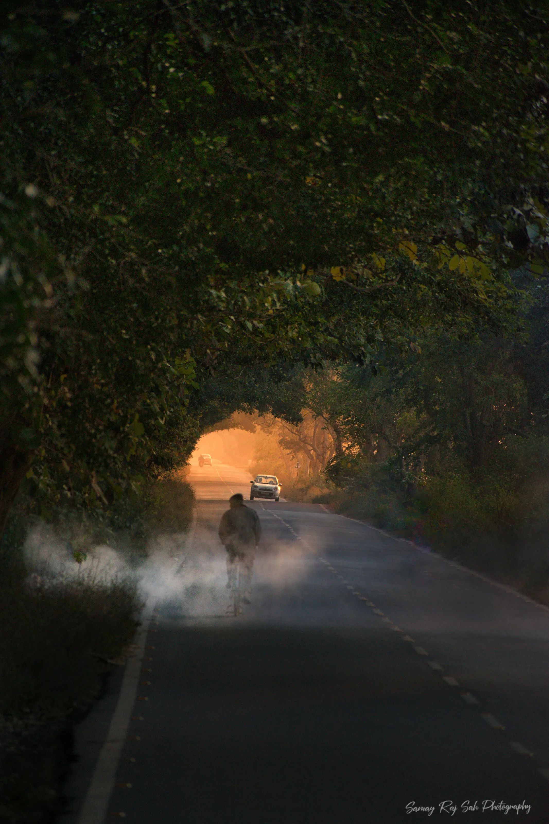 A Morning Light on a way during winters